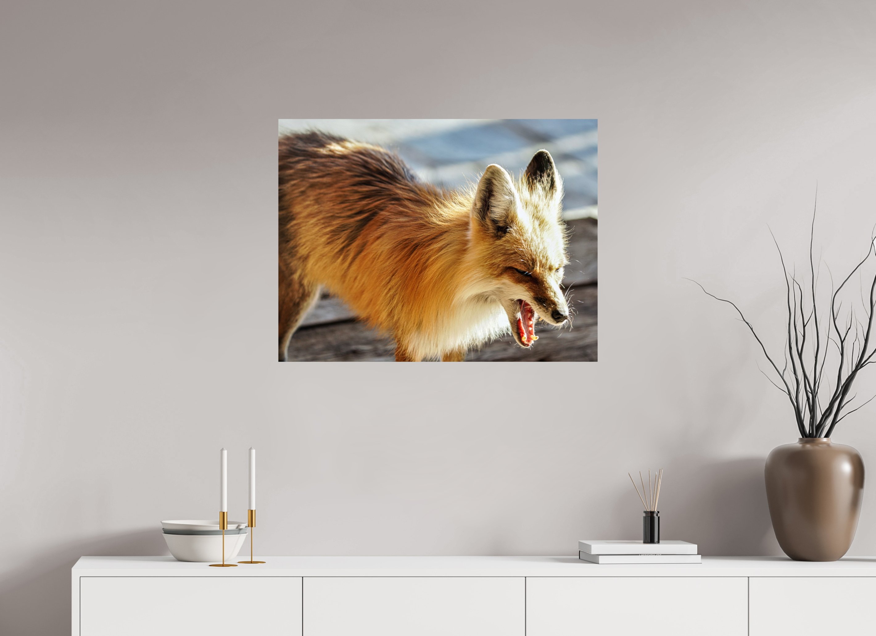 31.6 x 24″, METAL Fox