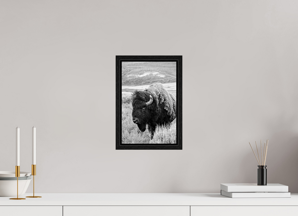 8 x 12″, Floater Frame Black and White Bison Side Profile