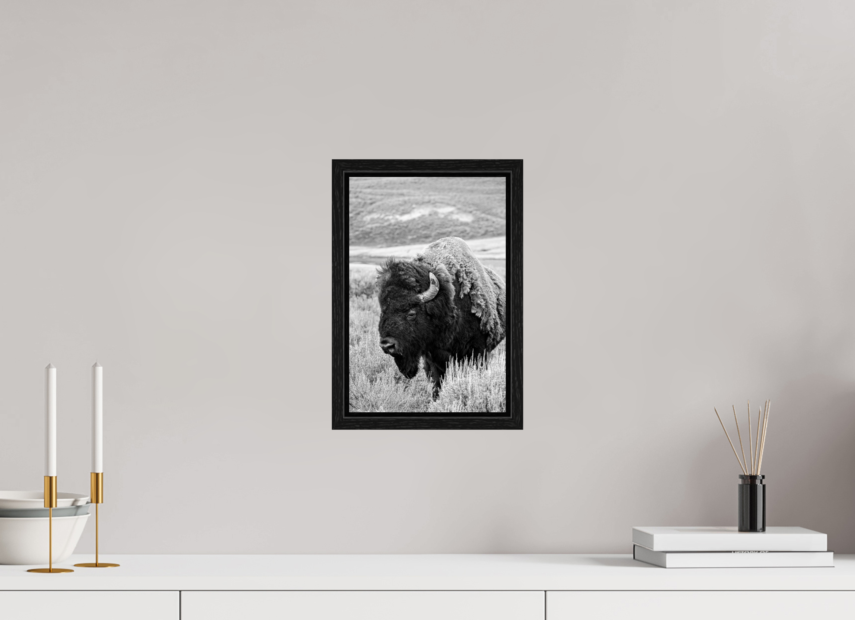 8 x 12″, Floater Frame Black and White Bison Side Profile