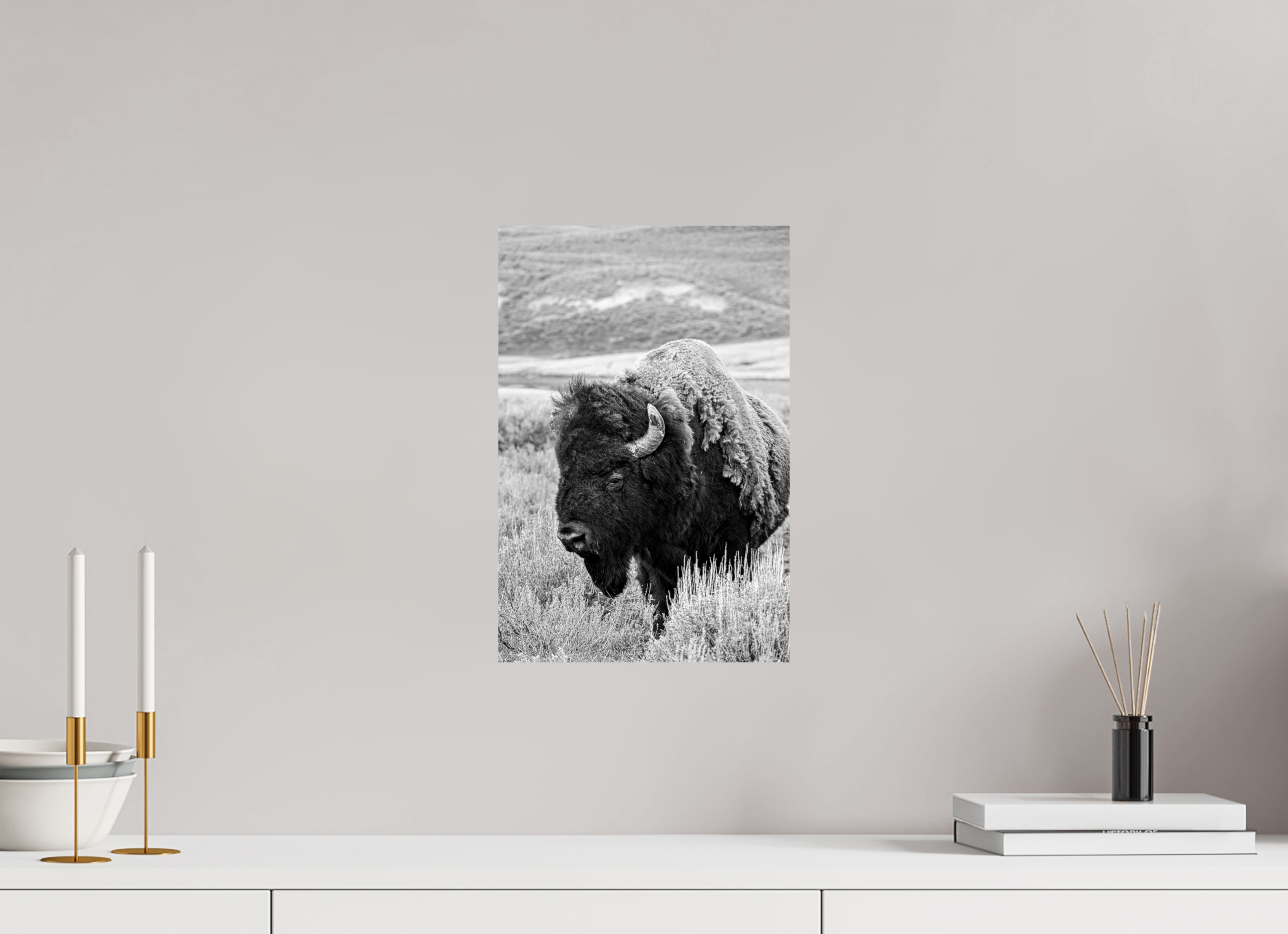 10 x 15″, METAL Monochrome Bison