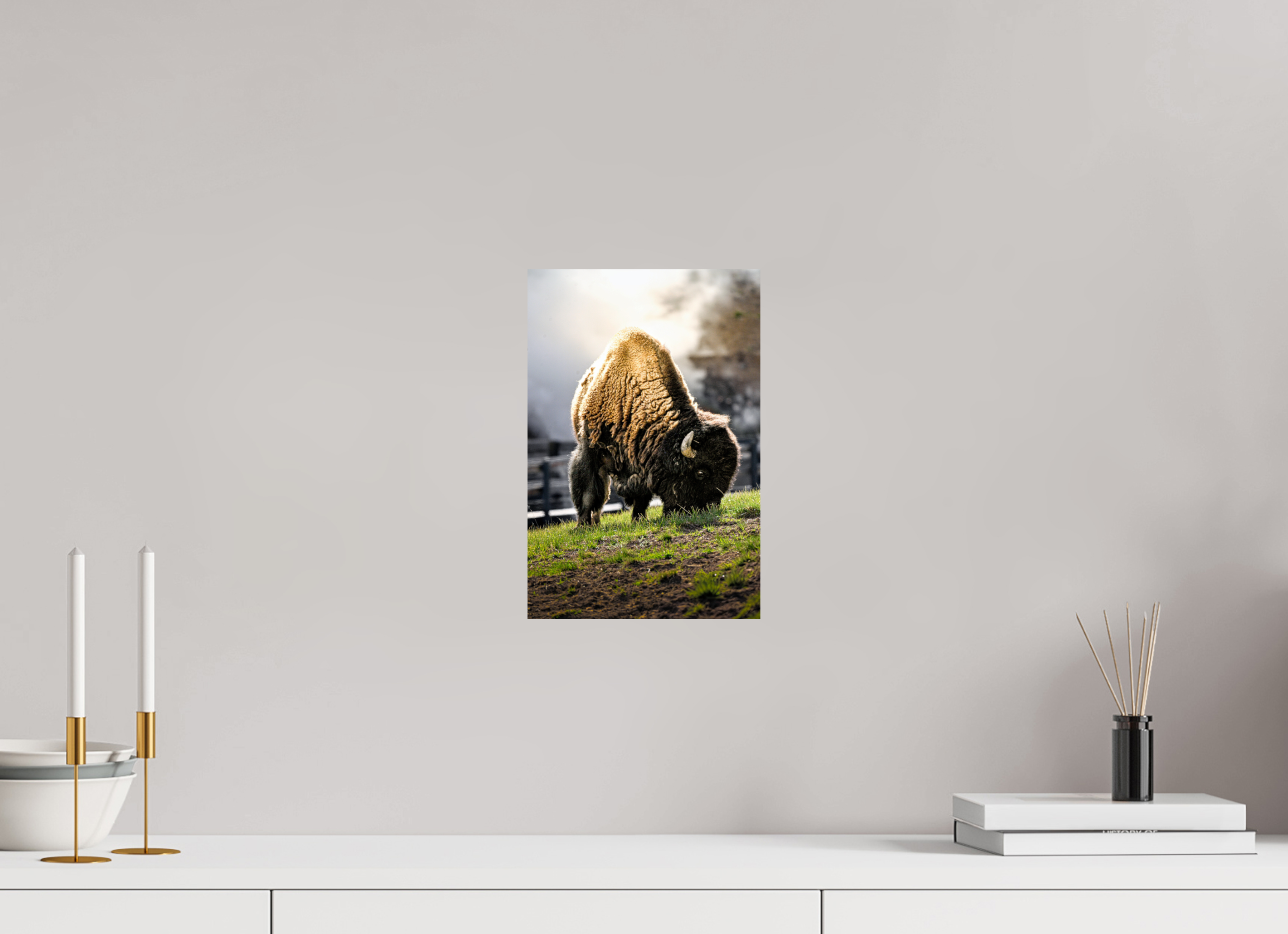 8 x 12″, METAL Bison Grazing