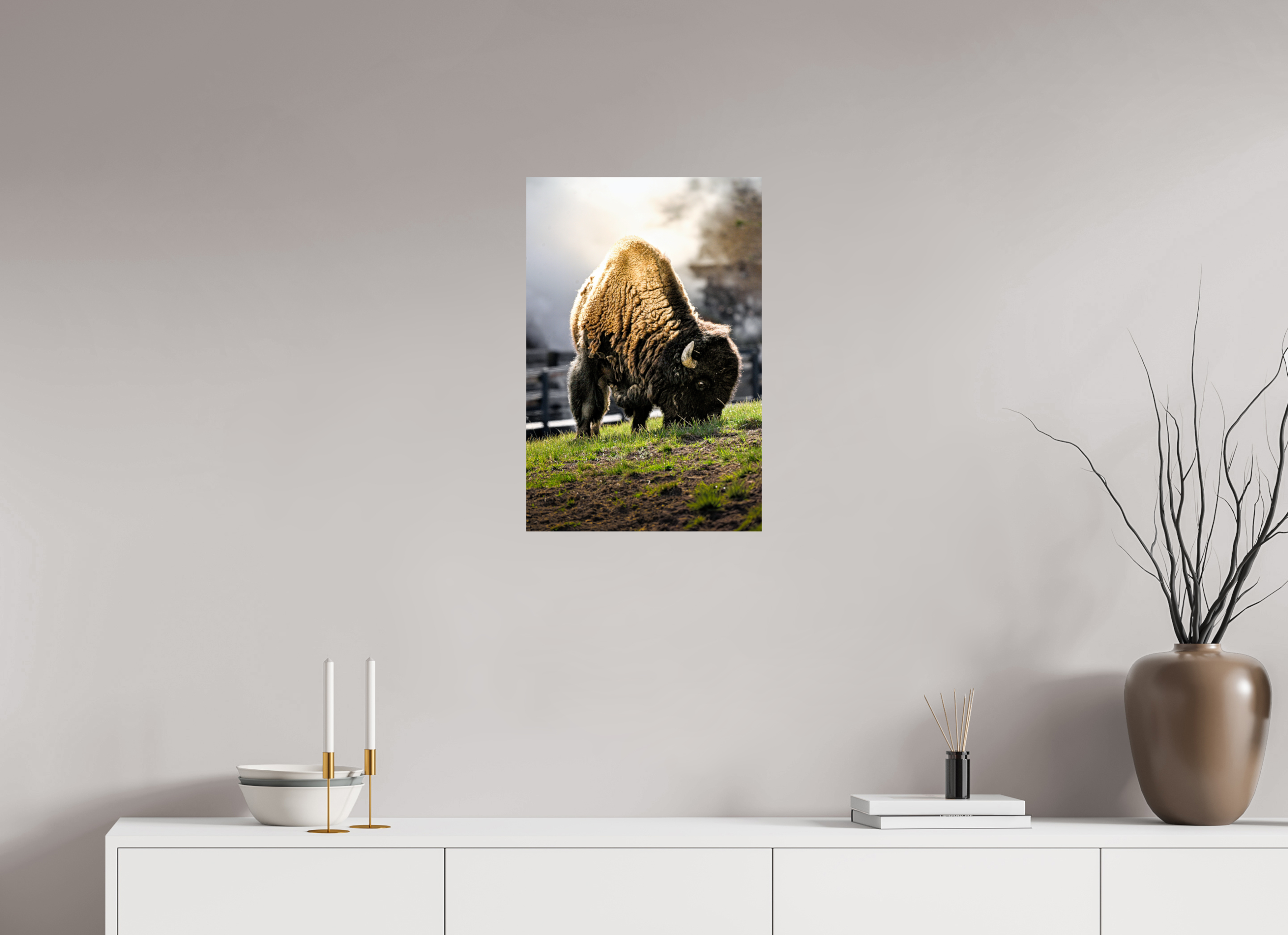 16 x 24″, PHOTO PAPER Bison Grazing