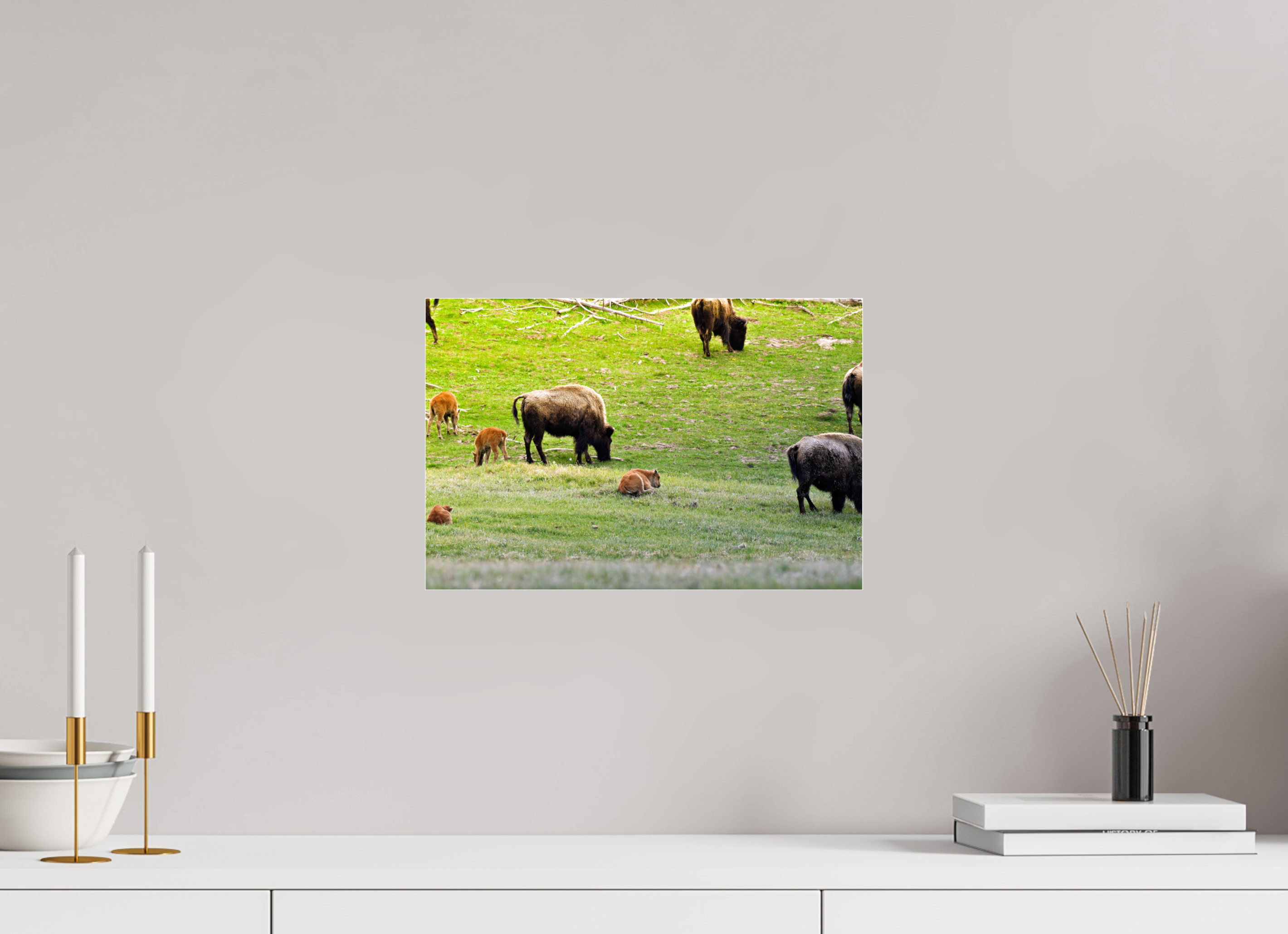 15 x 10″, ACRYLIC Bison Herd