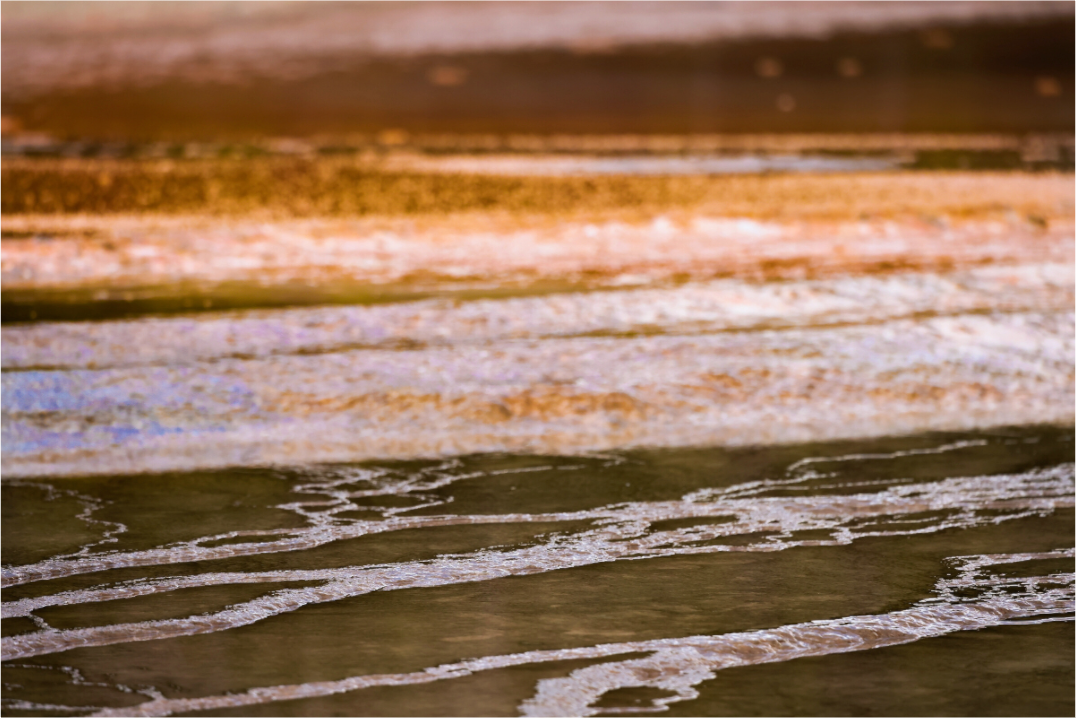 Main image Yellowstone