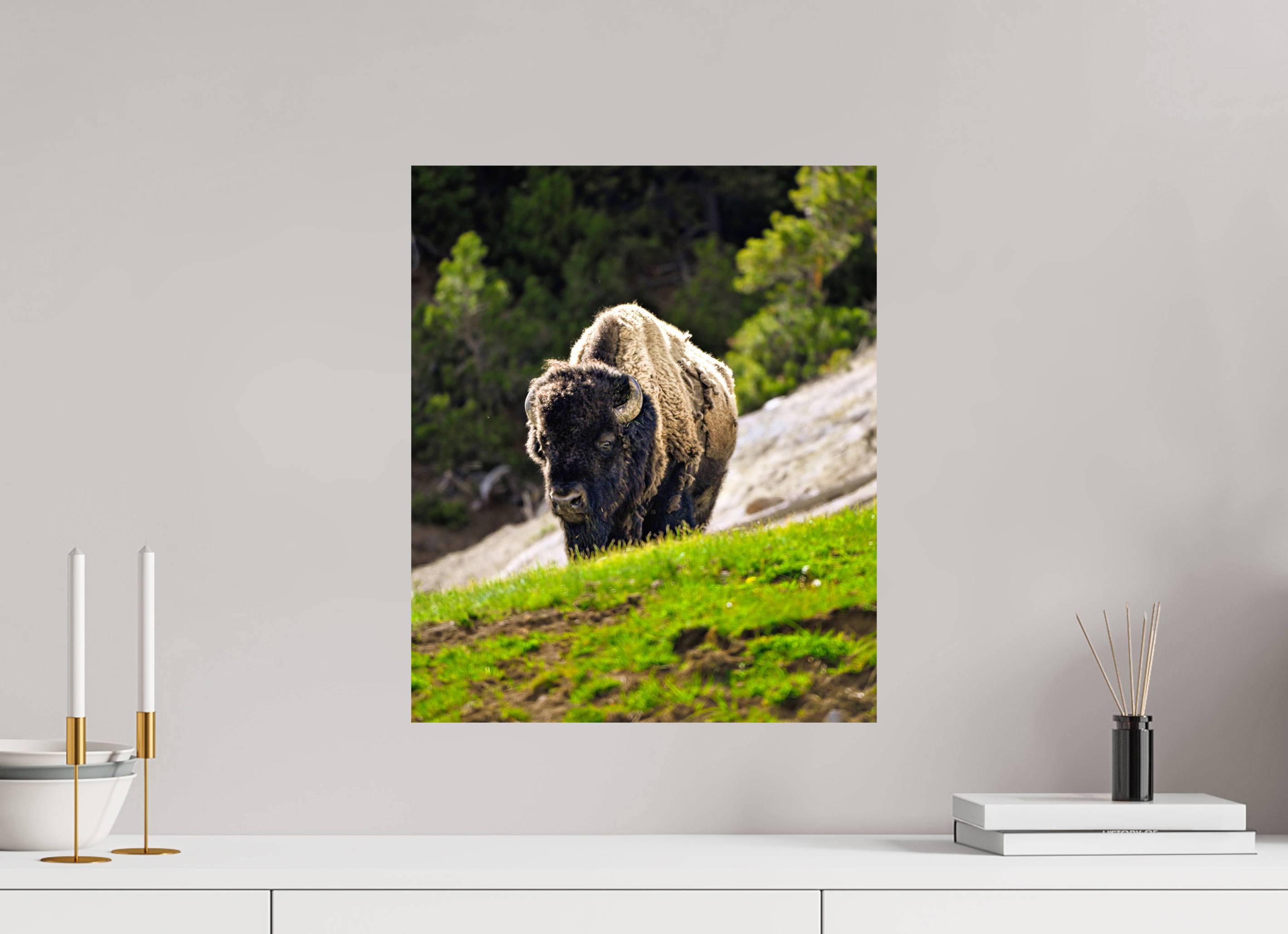 16 x 19.1″, METAL Bison Portrait