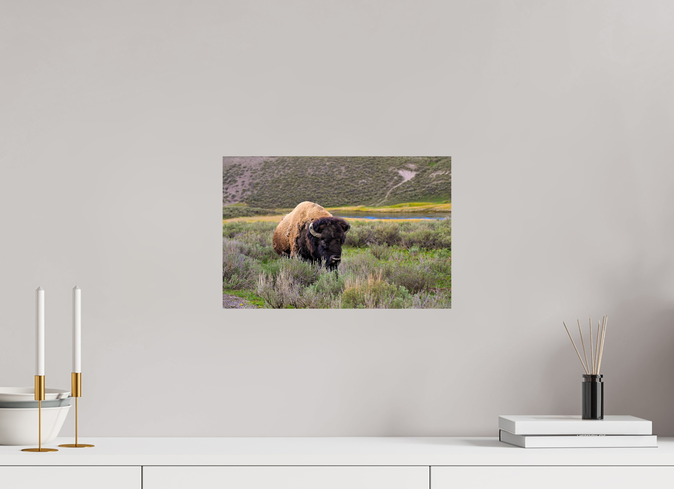 15 x 10″, METAL Bison