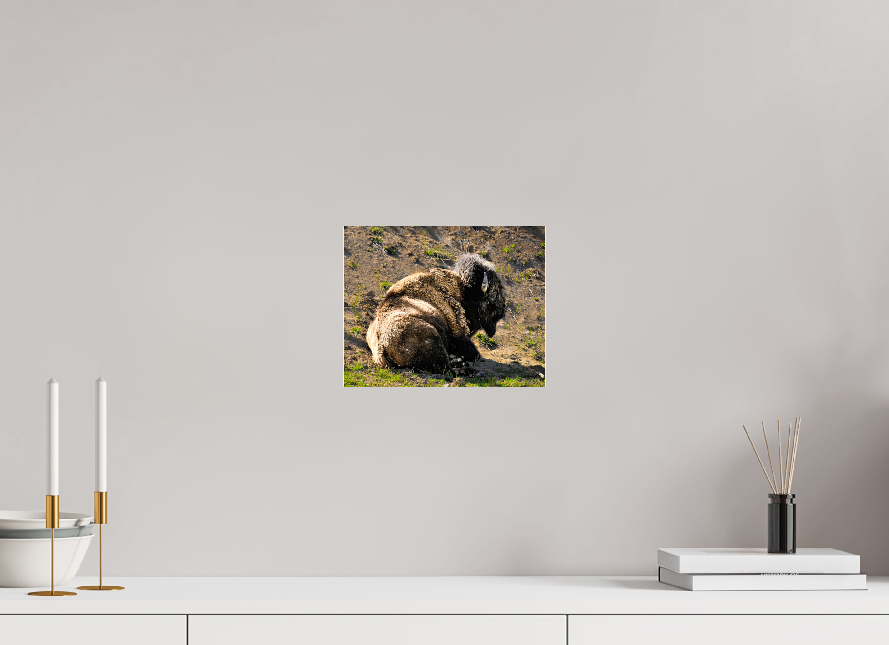 10 x 8″, ACRYLIC Bison Laying Down