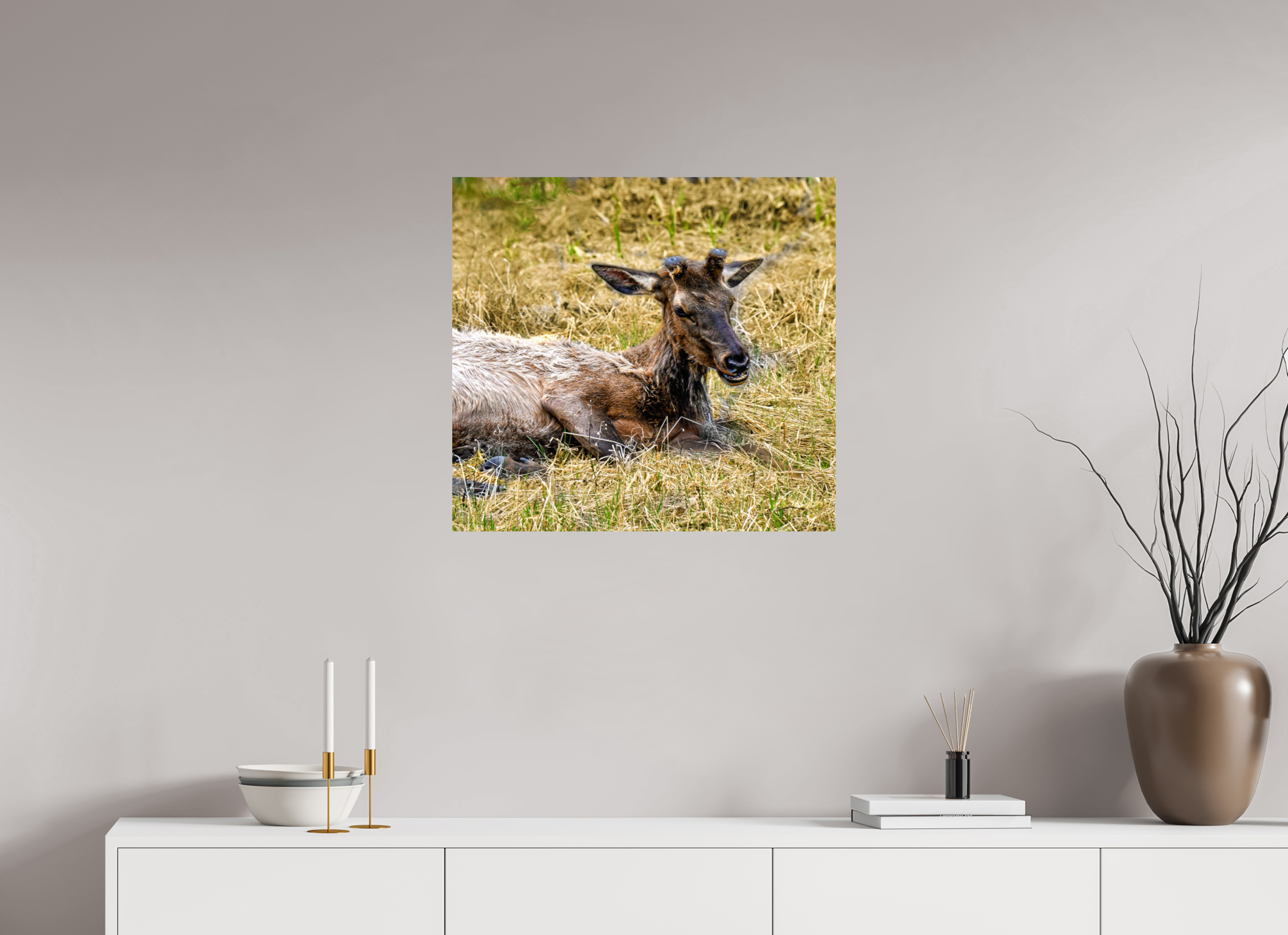 26 x 24″, PHOTO PAPER Elk