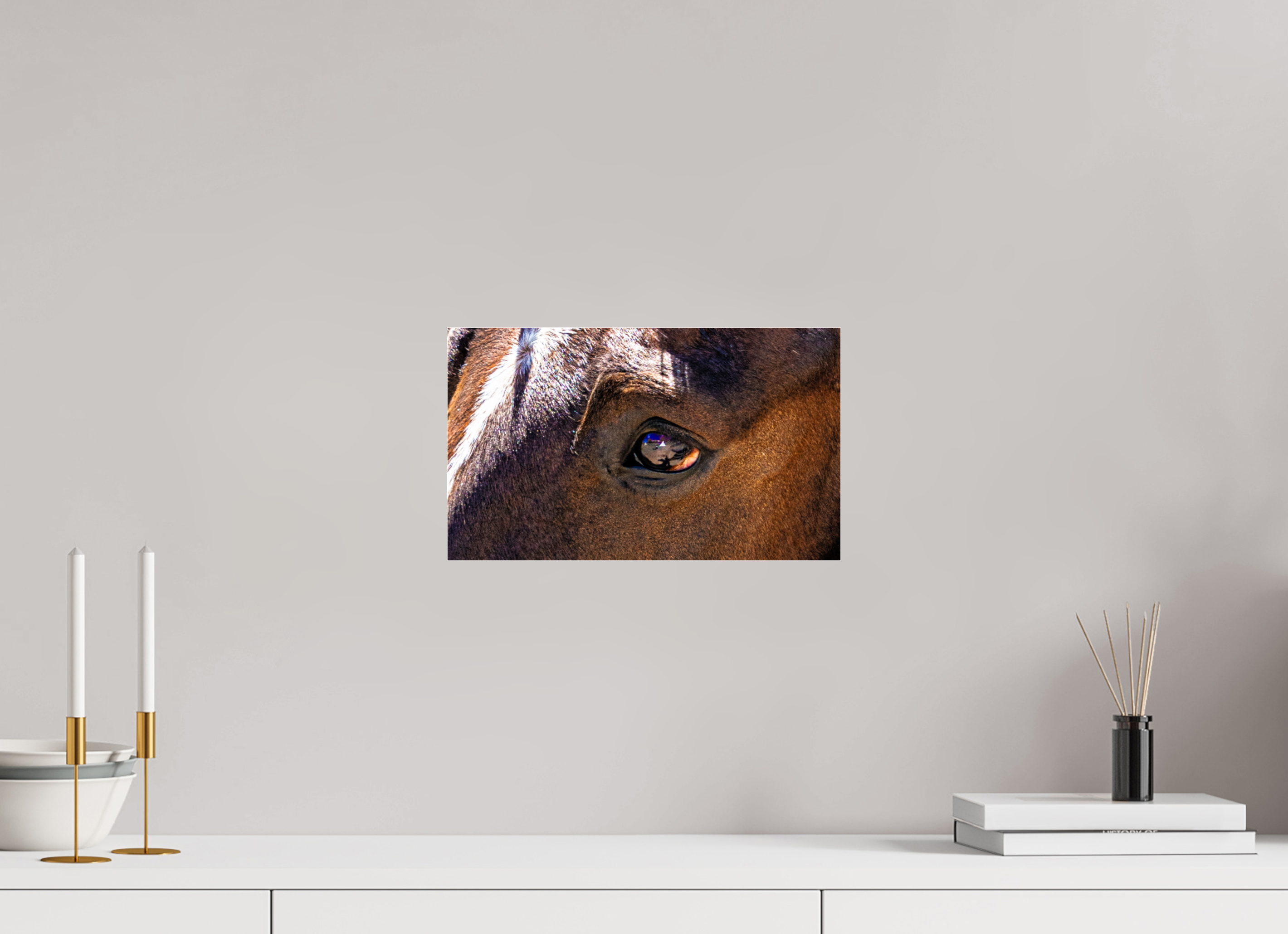 13.5 x 8″, ACRYLIC Pack Horse Eye