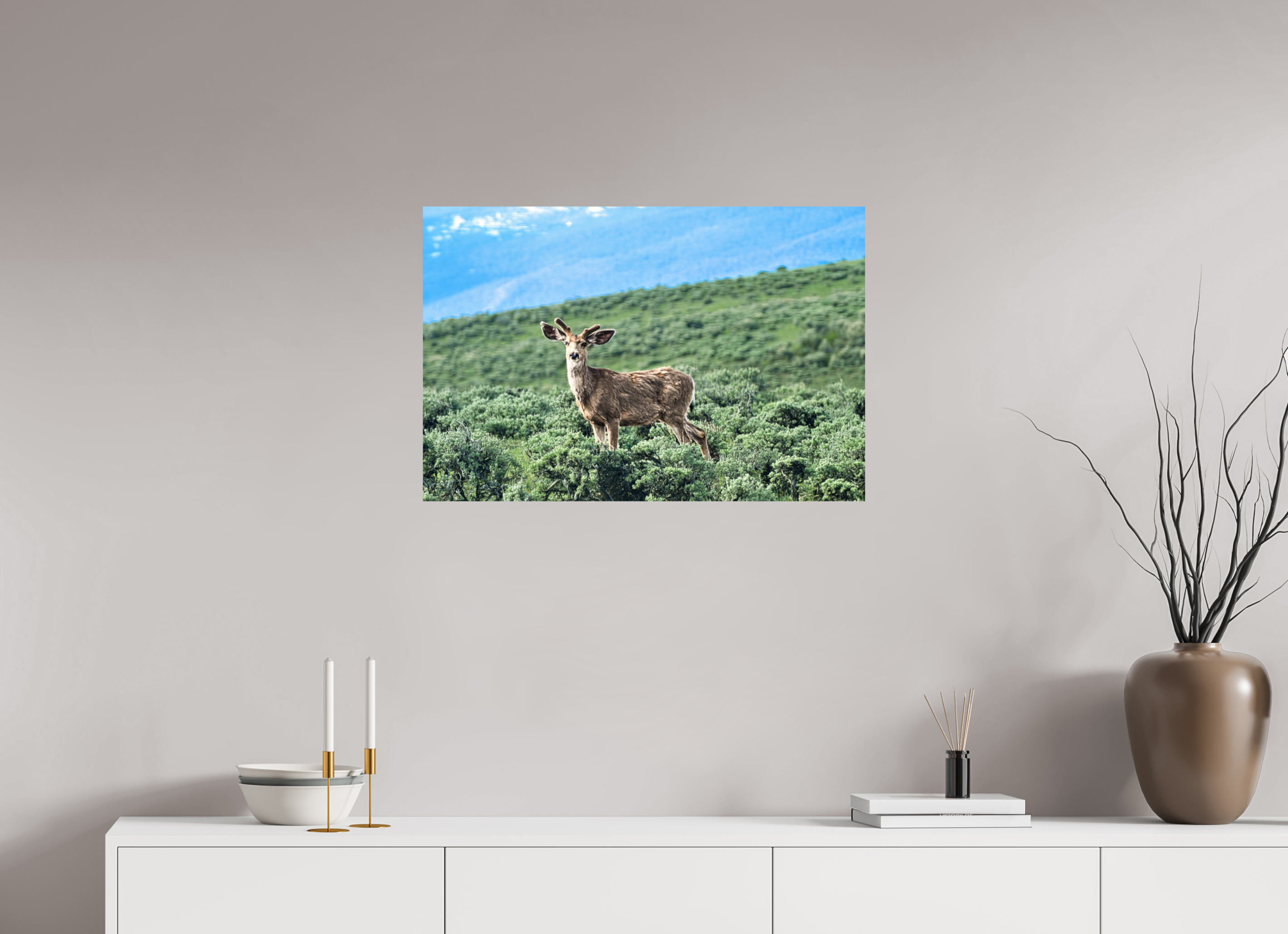 30 x 20″, PHOTO PAPER Deer