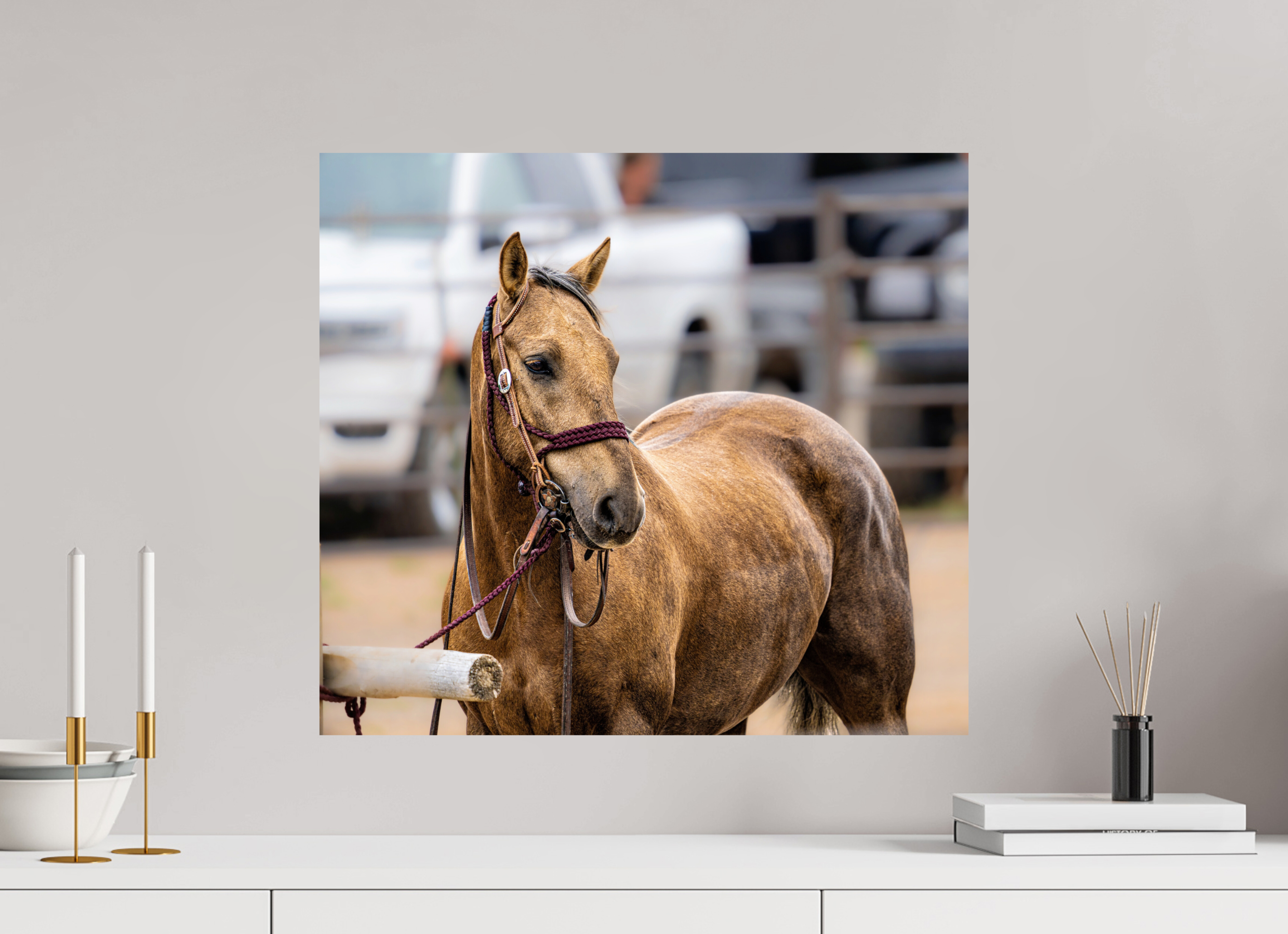 22.3 x 20″, METAL Pack Horse Portrait 3