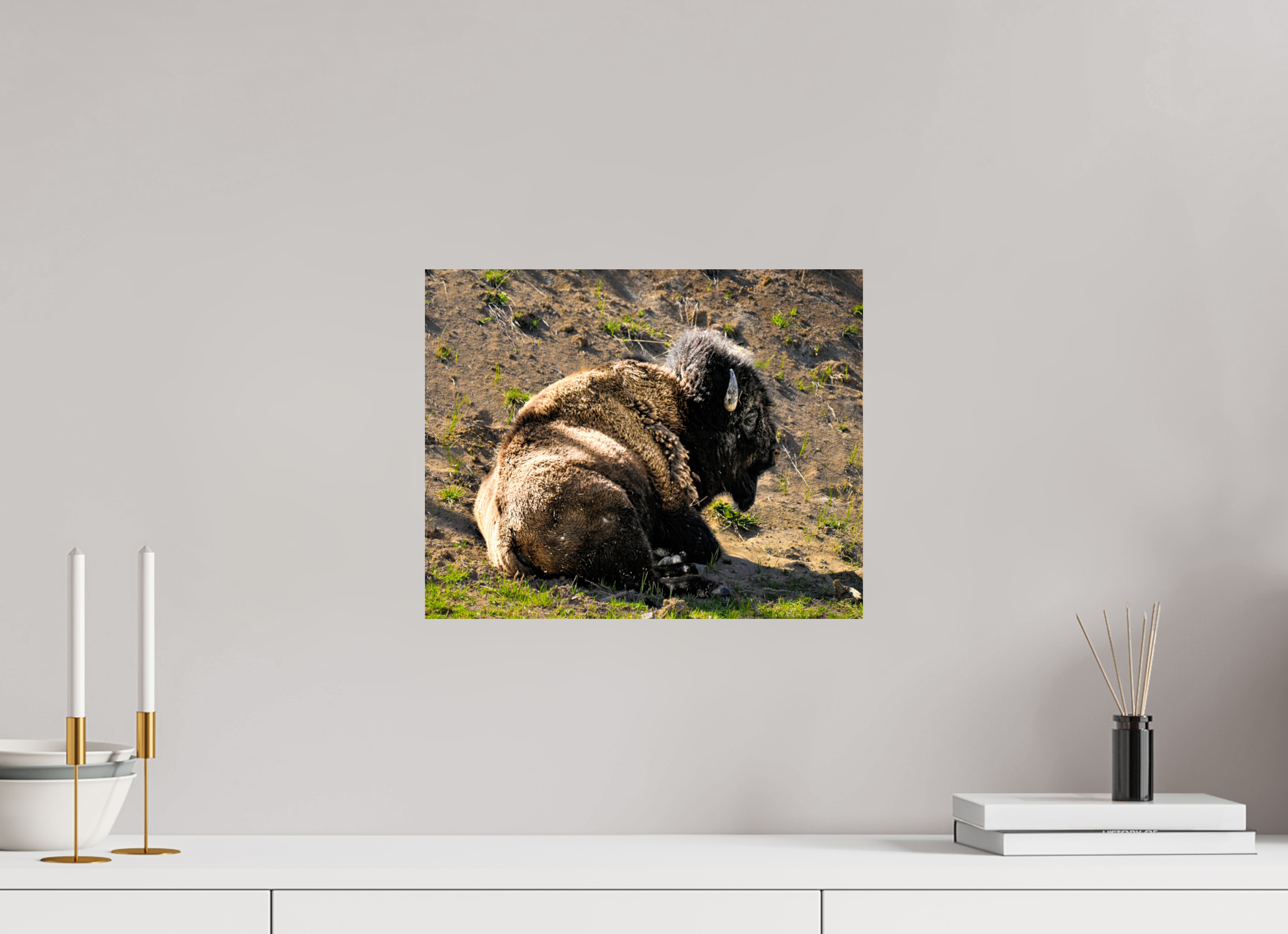 15 x 12″, METAL Bison Laying Down