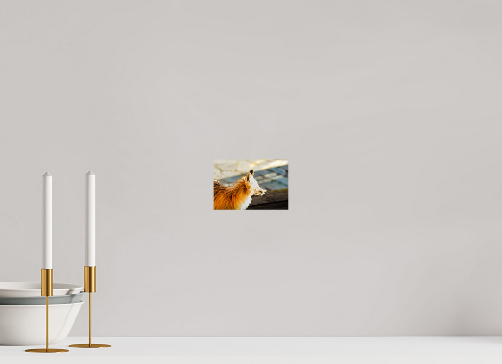 6 x 4″, PHOTO PAPER Fox