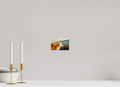 6 x 4″, PHOTO PAPER Fox