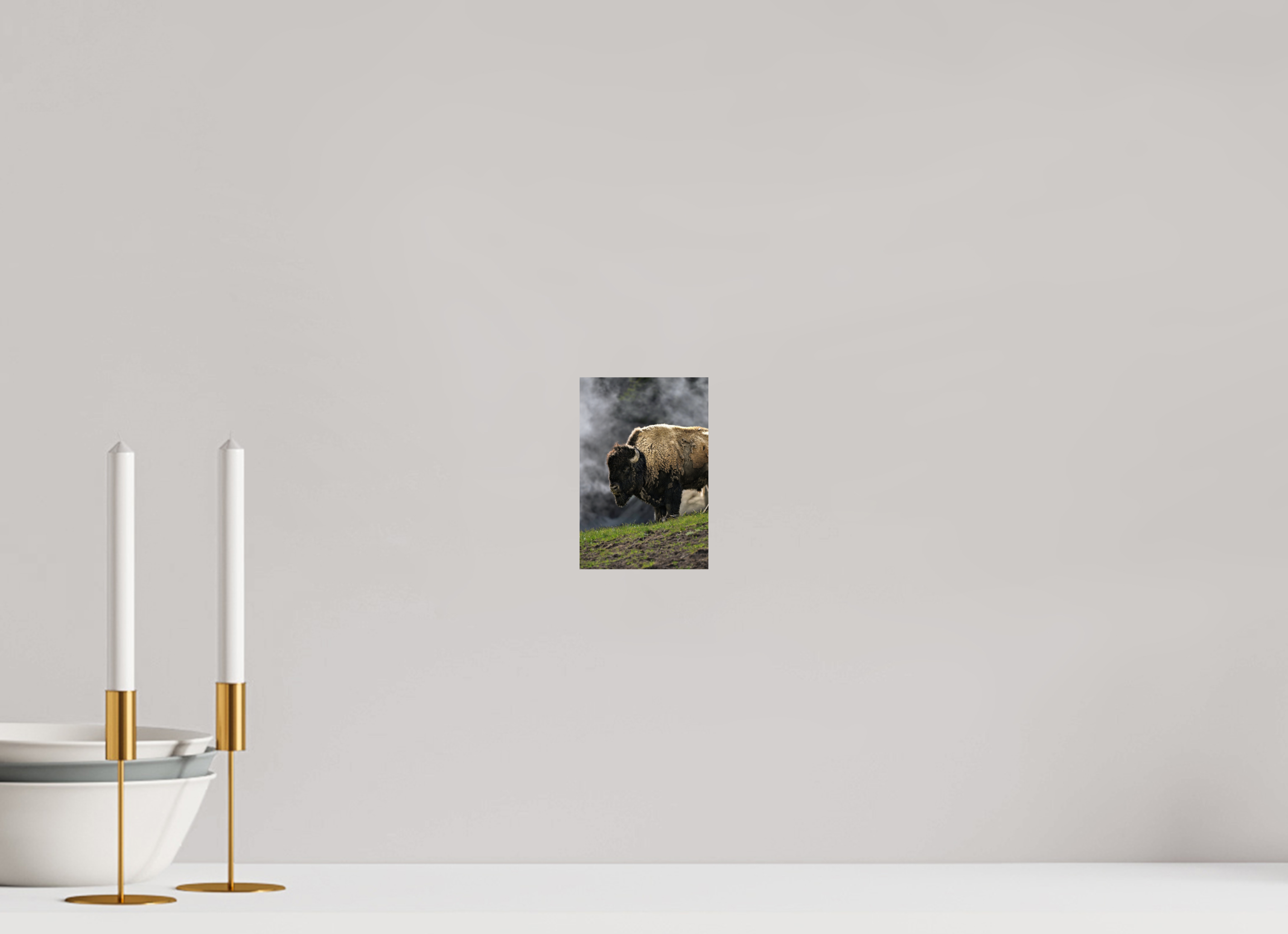4 x 6″, PHOTO PAPER Bison with steam