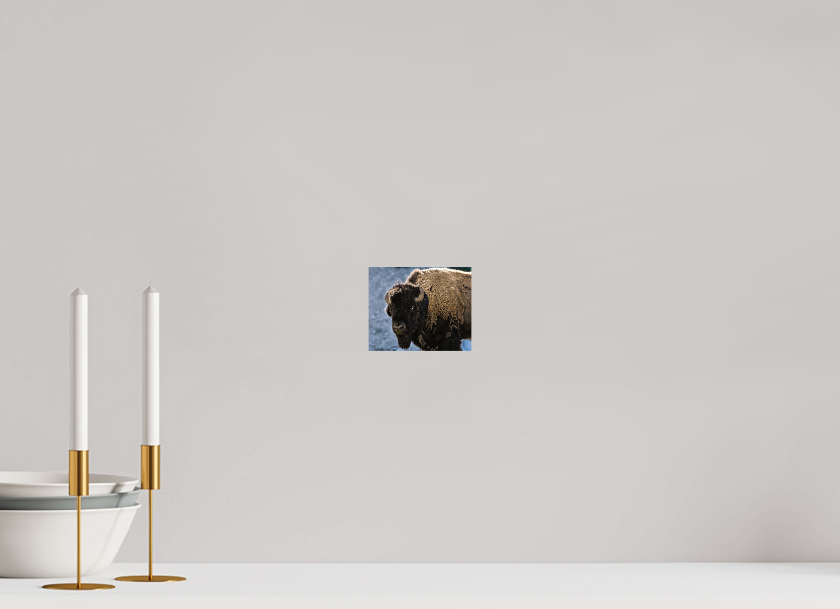 4.9 x 4″, PHOTO PAPER Bison