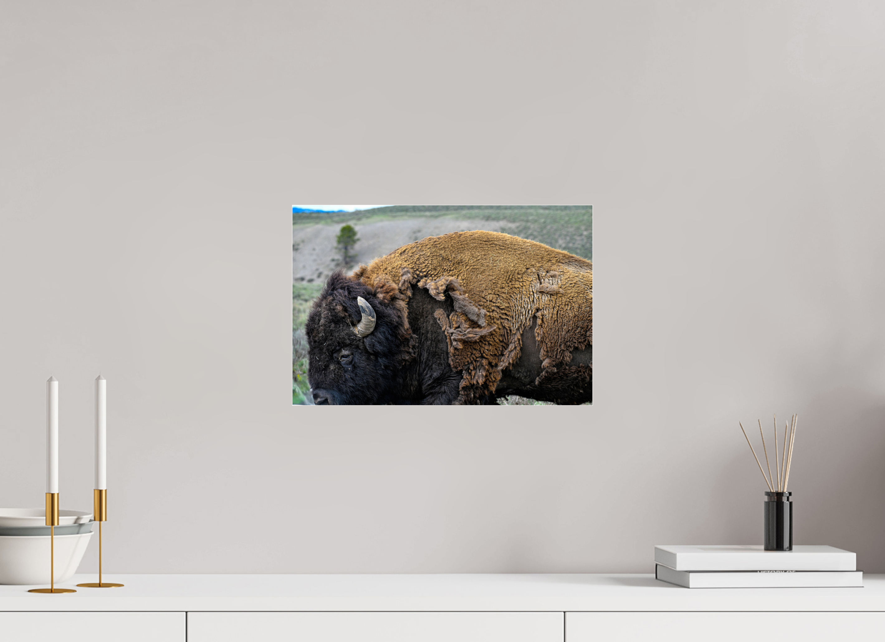 15 x 10″, ACRYLIC Bison side profile