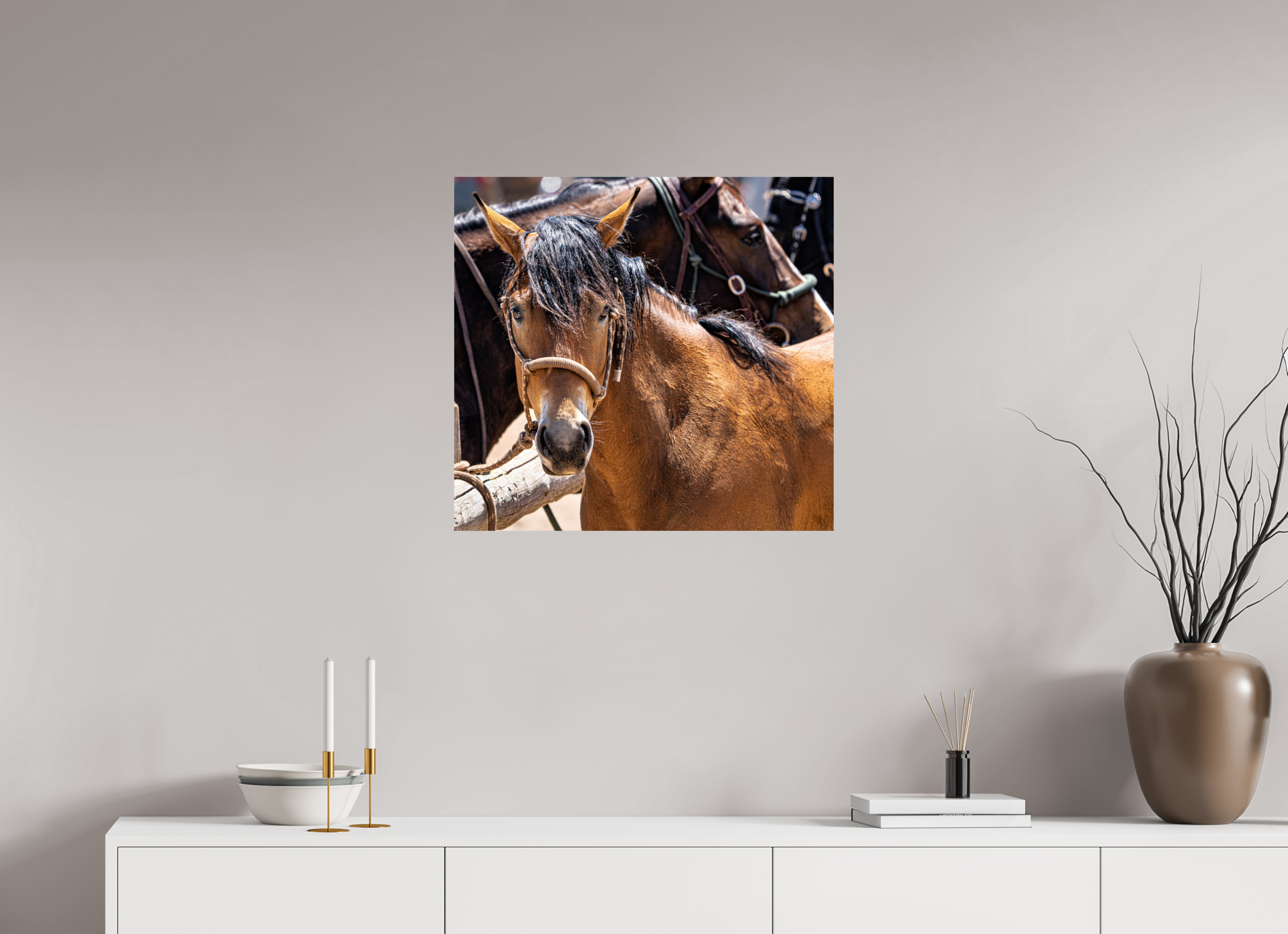 25.7 x 24″, PHOTO PAPER Pack Horse Portrait 6