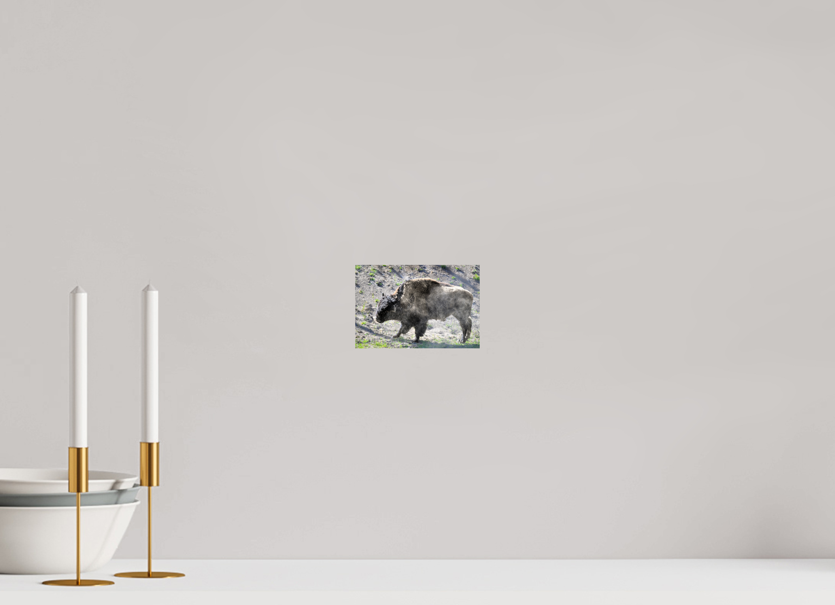 6 x 4″, PHOTO PAPER Bison Shake