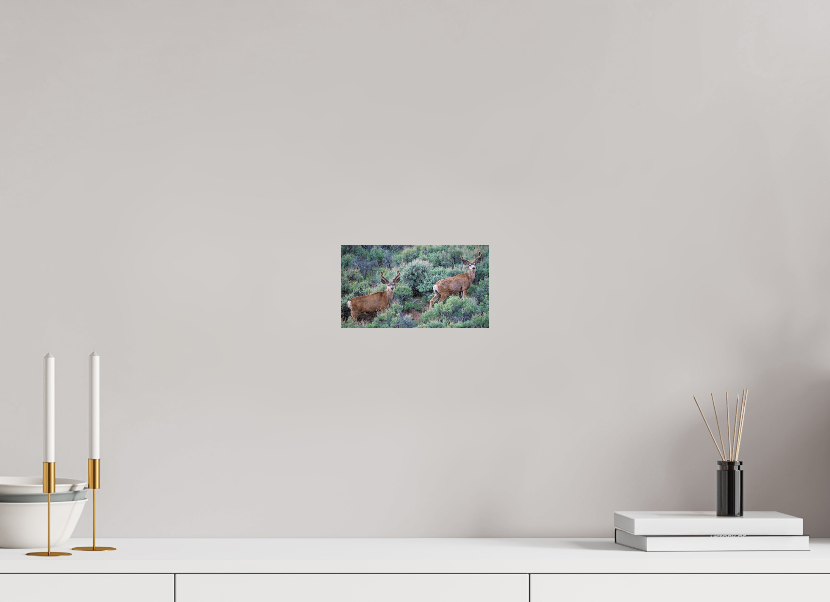 8 x 4.5″, PHOTO PAPER Deer