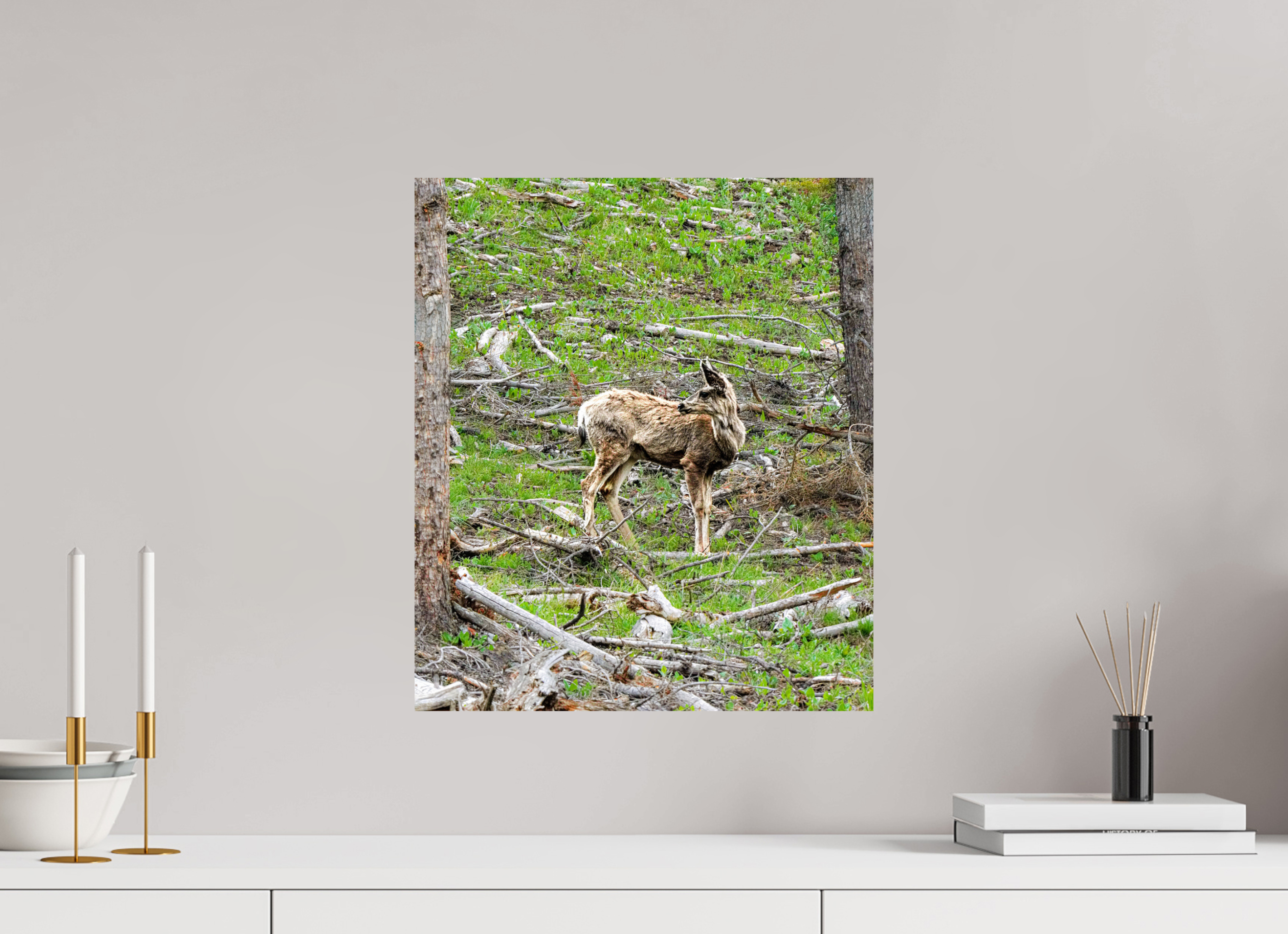 16 x 18.6″, PHOTO PAPER Deer