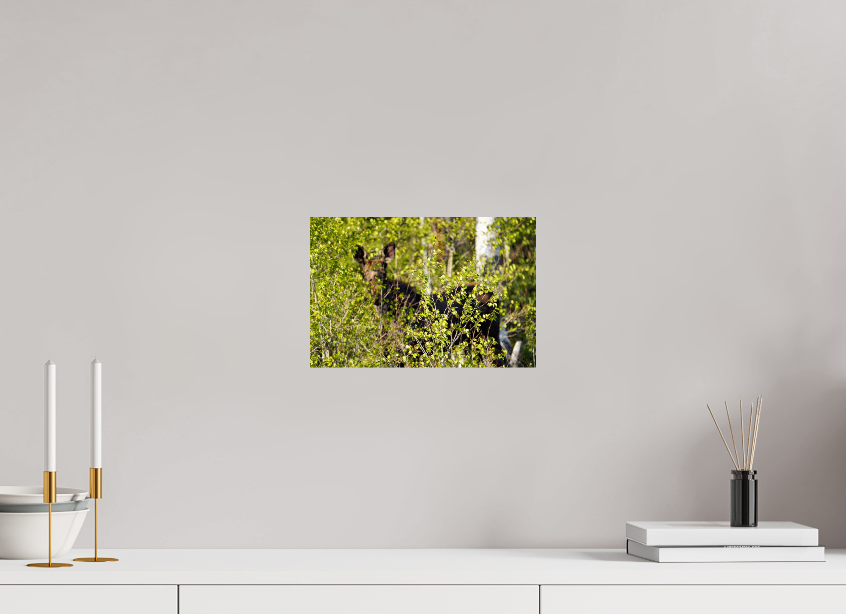 12 x 8″, PHOTO PAPER “Peek a Boo” Moose
