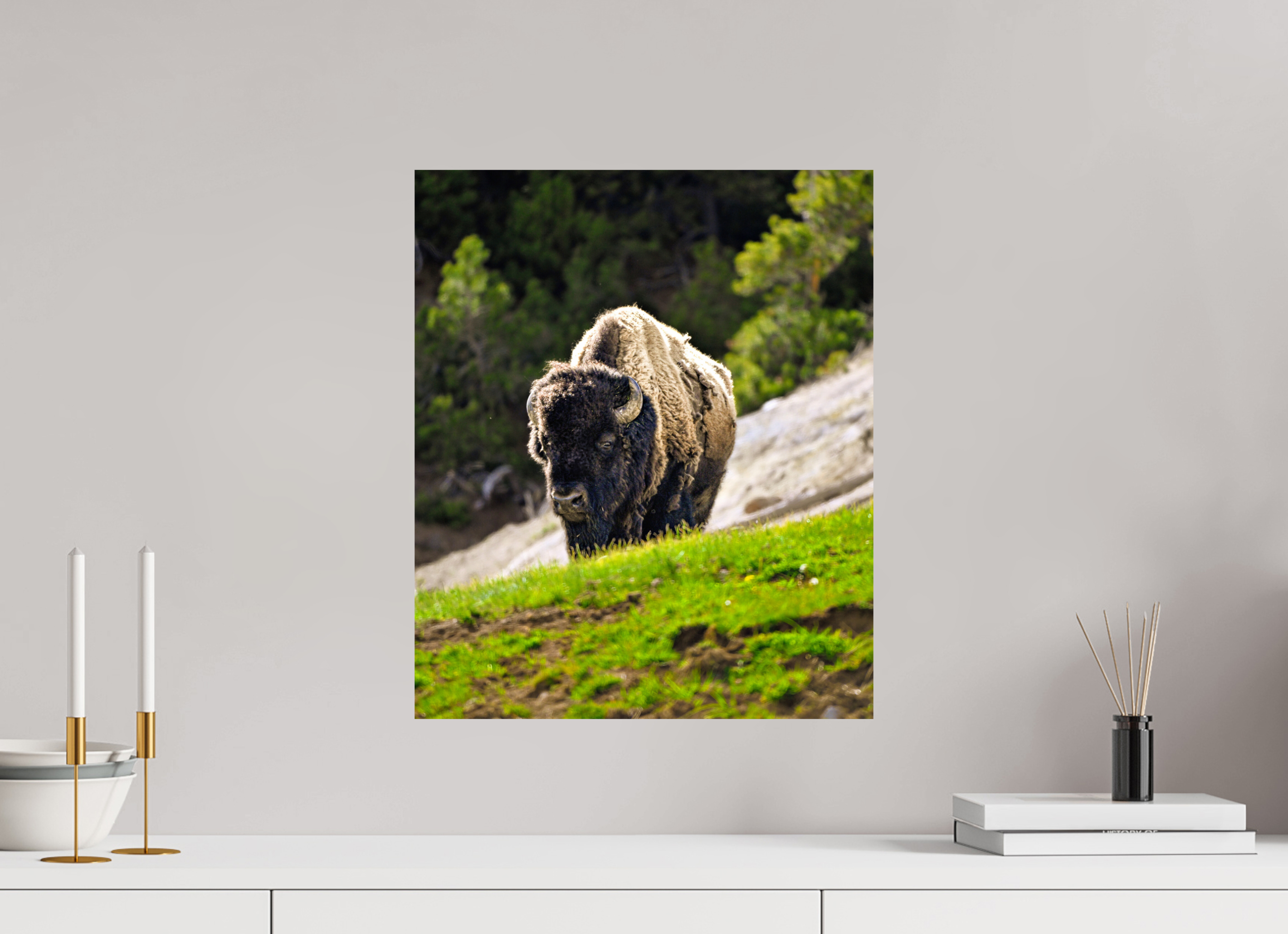 16 x 19.1″, PHOTO PAPER Bison Portrait