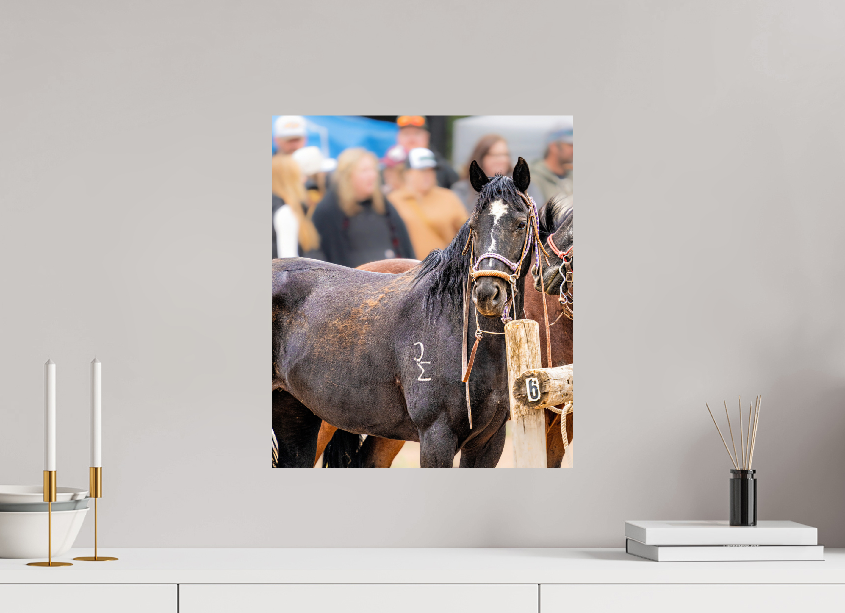 16 x 18.7″, PHOTO PAPER Pack Horse Portrait 16 Web Exclusive
