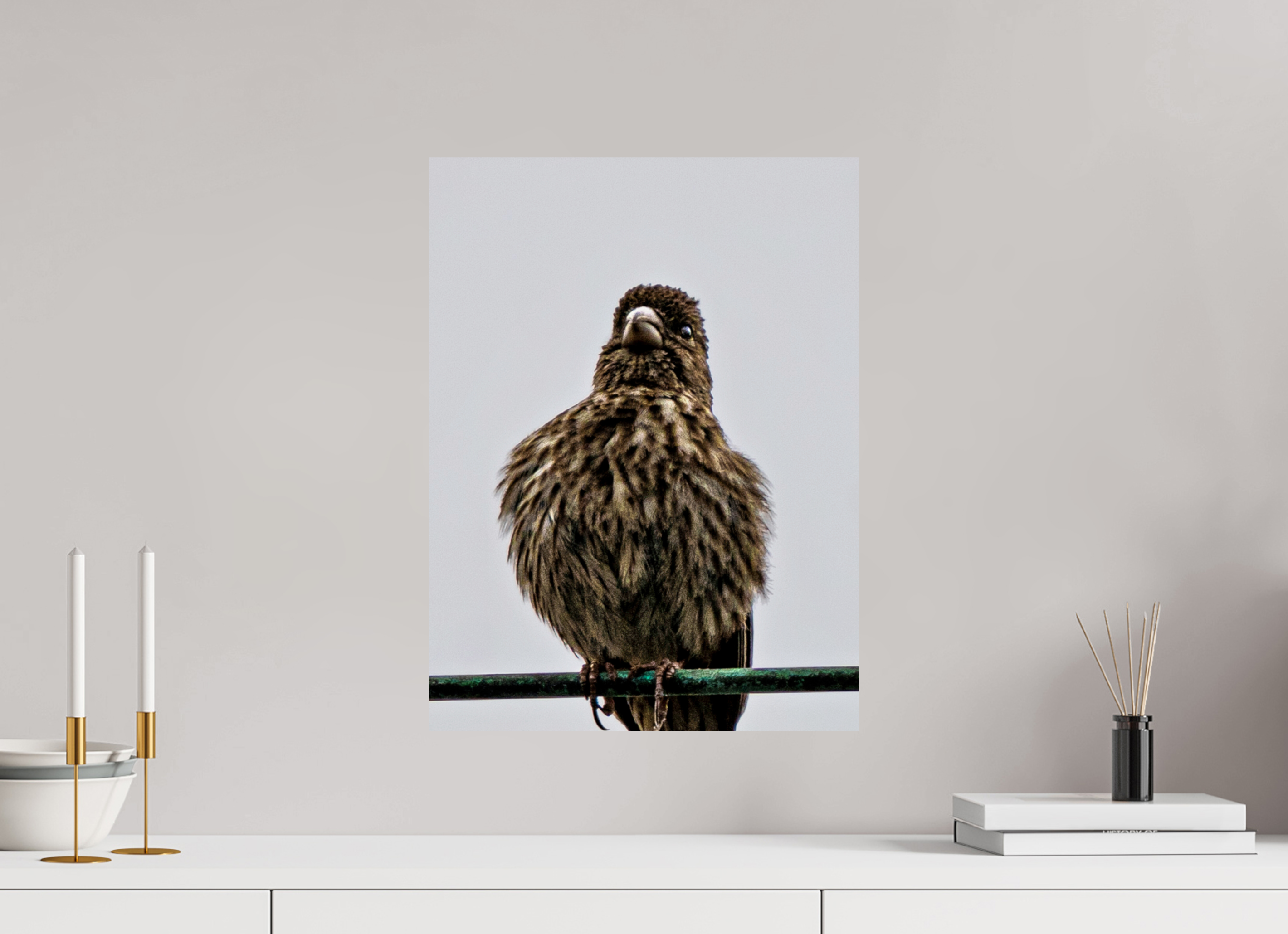 15 x 20″, PHOTO PAPER Bird
