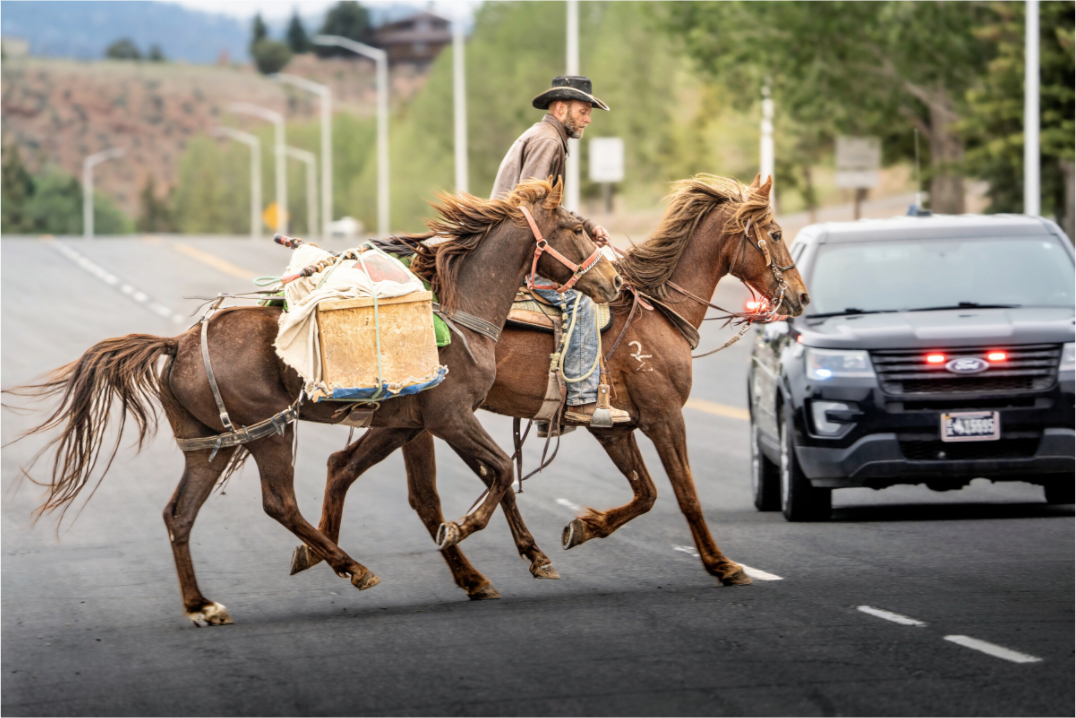 Main image Pack Horses Crossing the Street