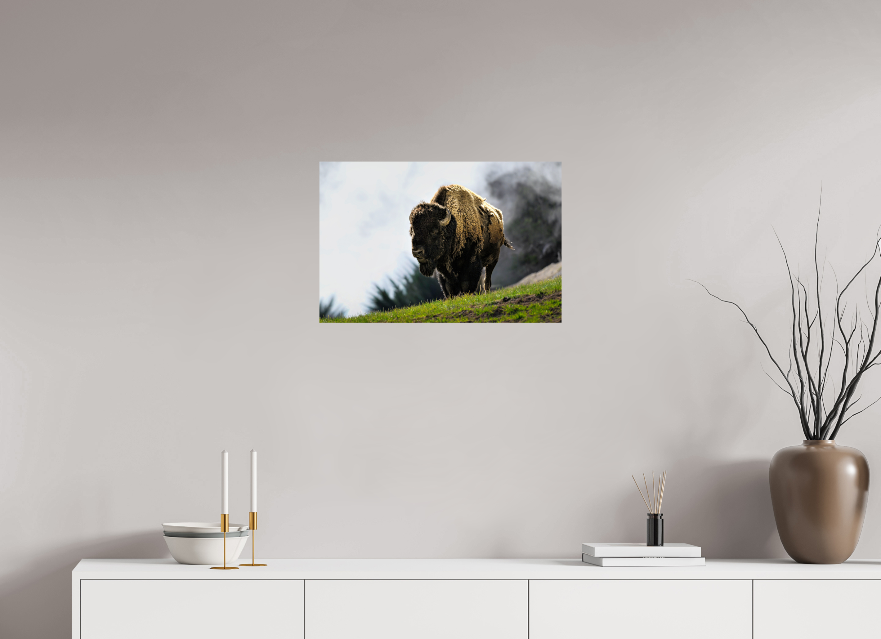 24 x 16″, PHOTO PAPER Bison