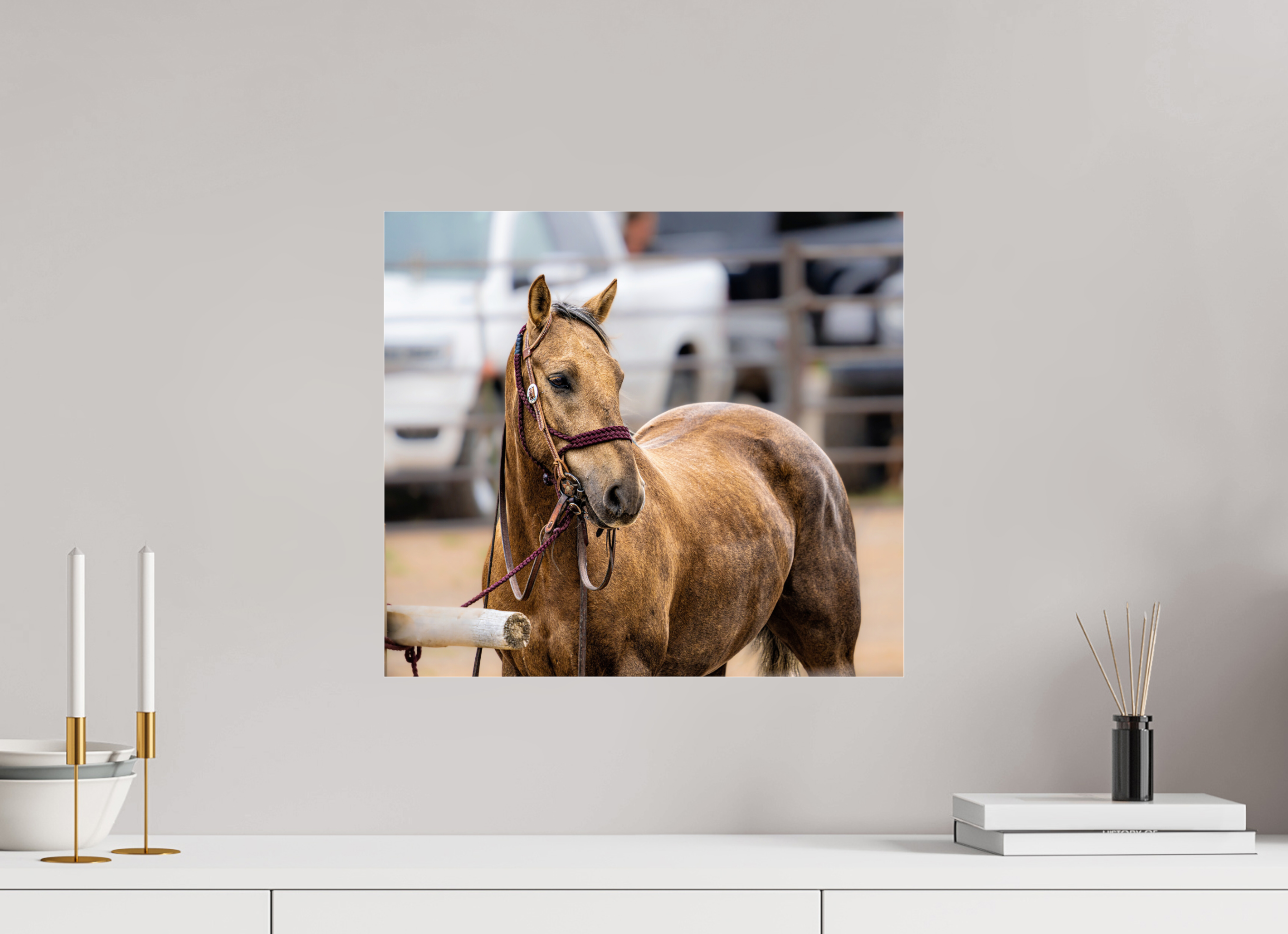 17.8 x 16″, ACRYLIC Pack Horse Portrait 3