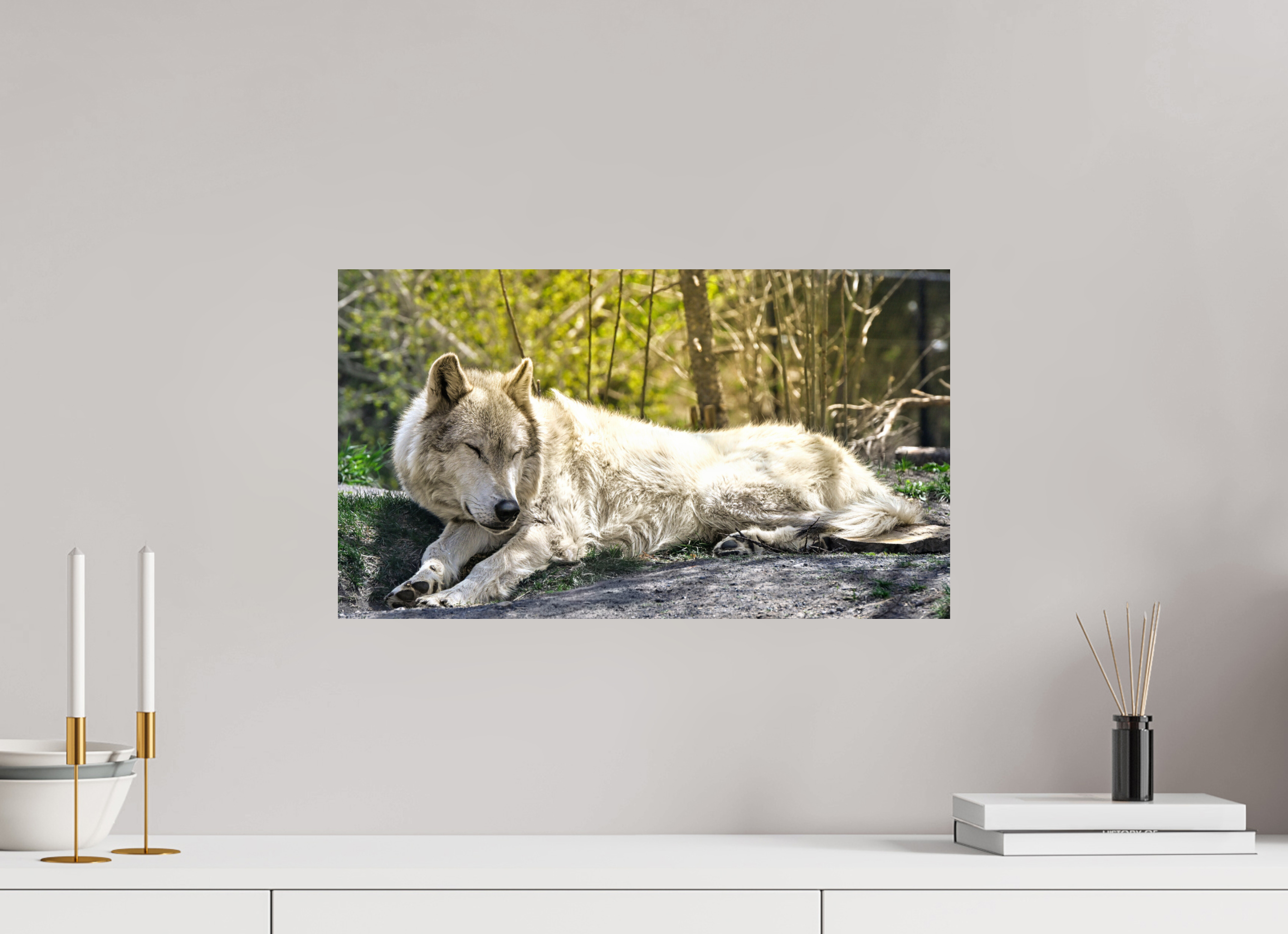 21 x 12″, METAL Wolf Napping