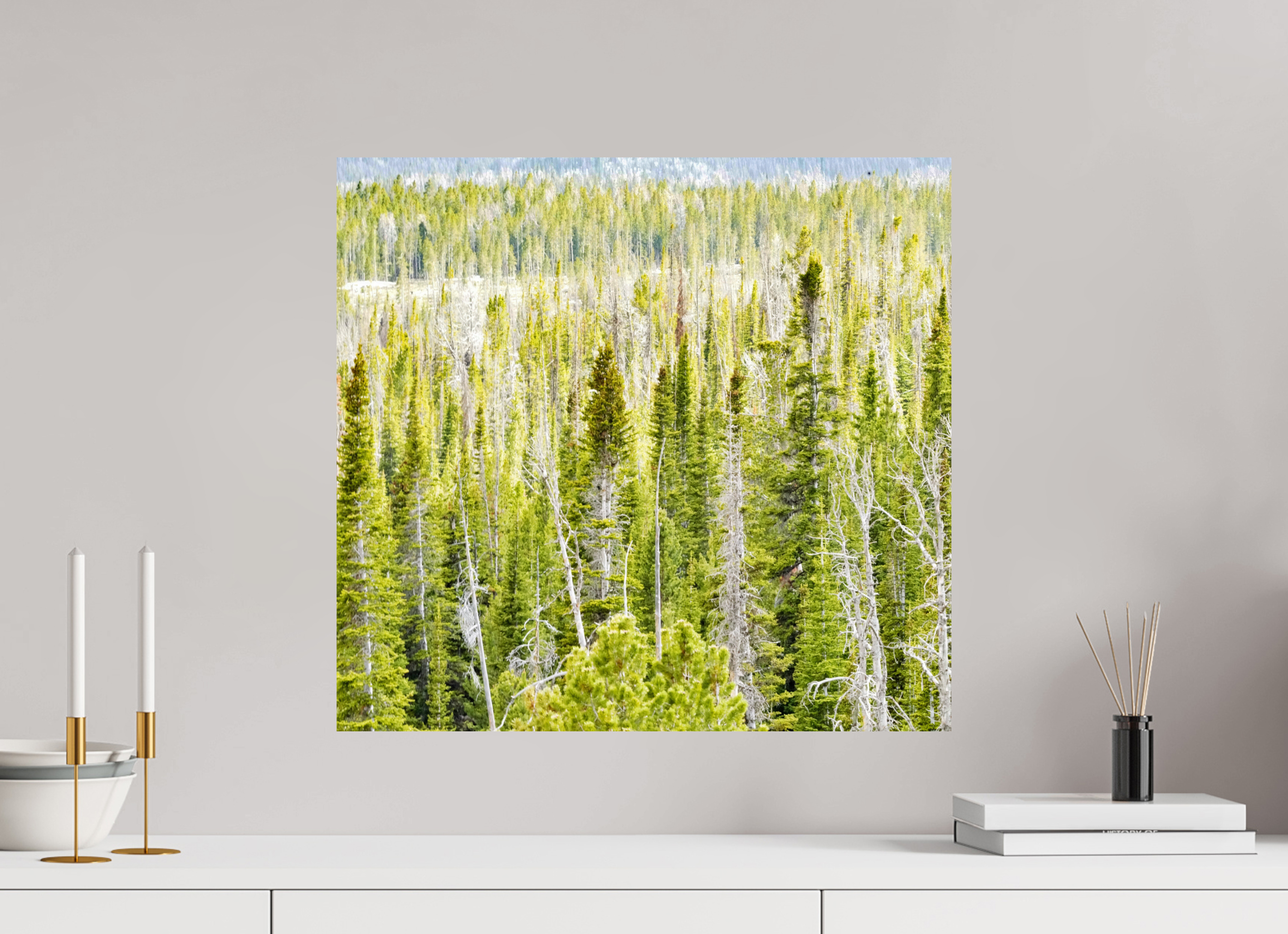 21.4 x 20″, PHOTO PAPER Wyoming