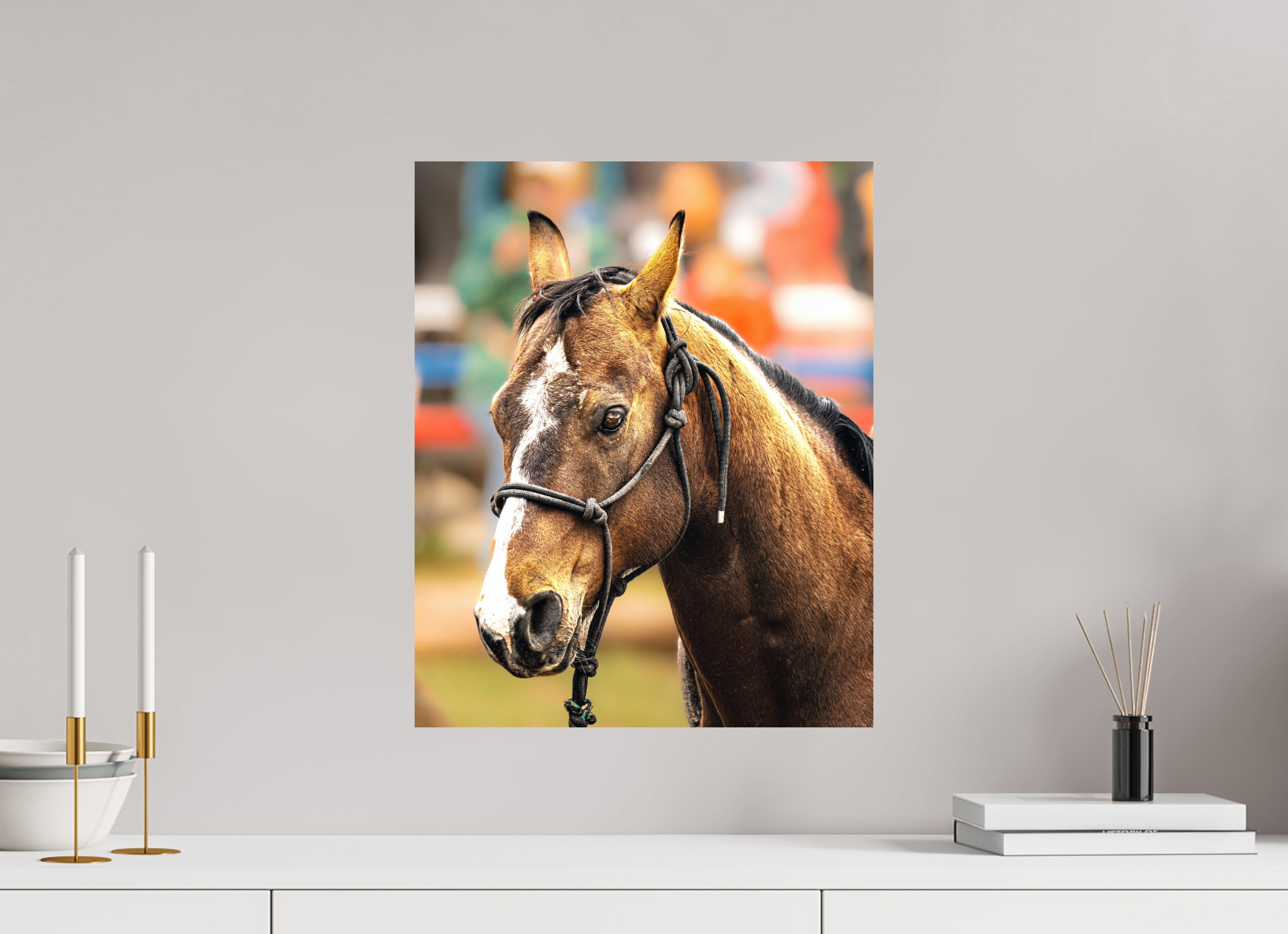 16 x 19.7″, PHOTO PAPER Pack Horse Portrait 9 Web Exclusive