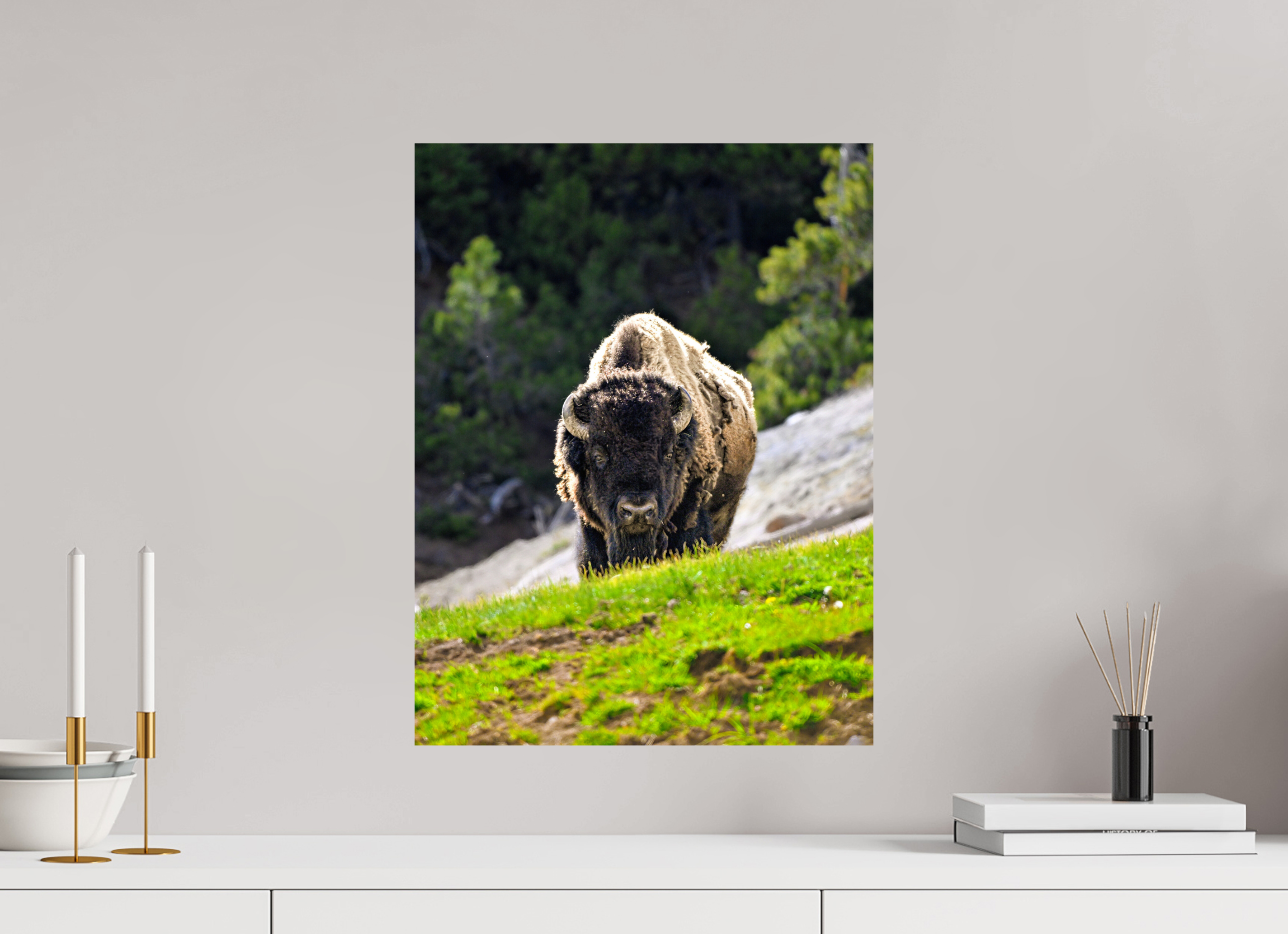 16 x 21″, PHOTO PAPER Bison Portrait