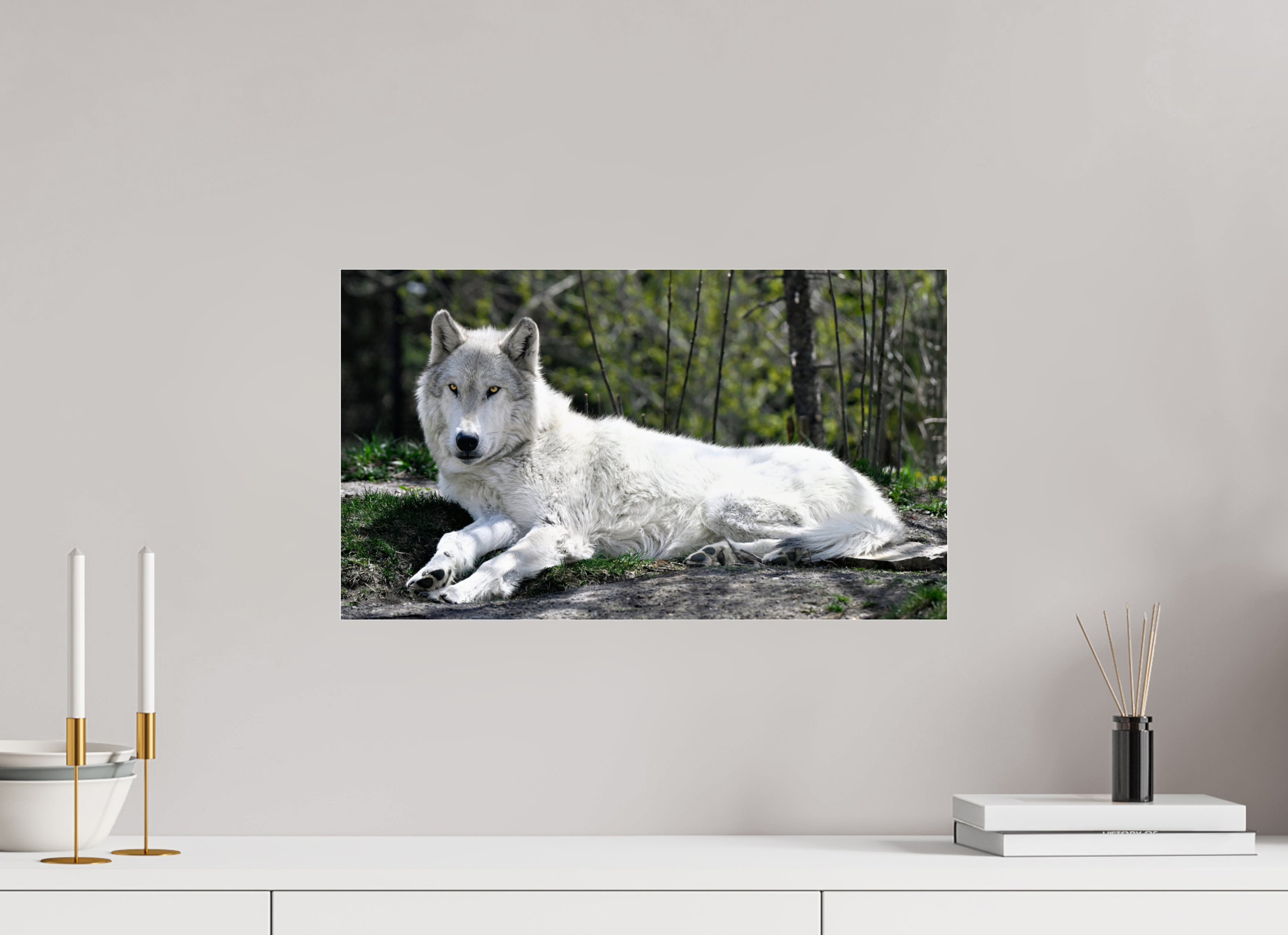 20.8 x 12″, ACRYLIC Wolf Laying Down