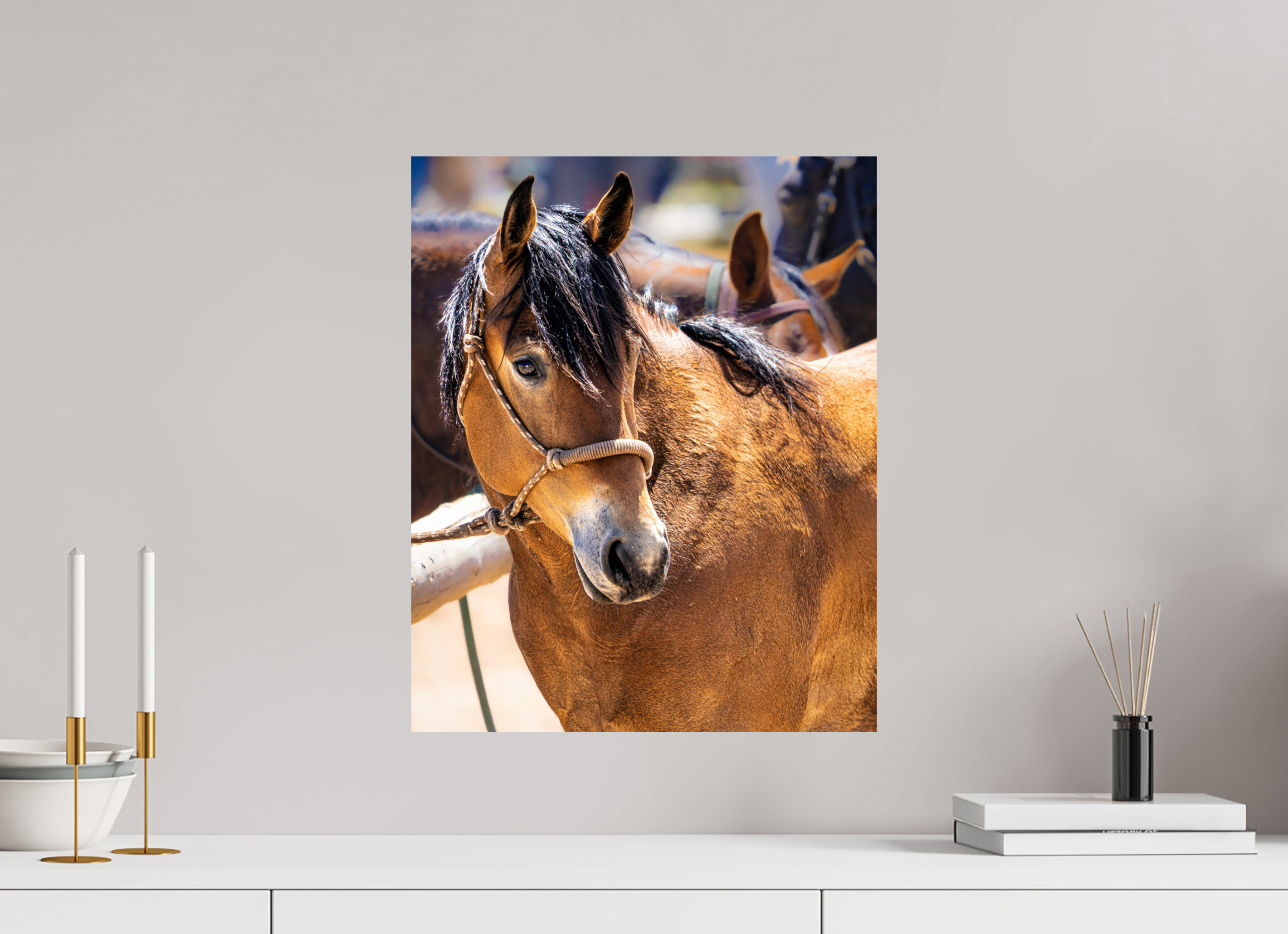 16 x 19.8″, METAL Pack Horse Portrait 5