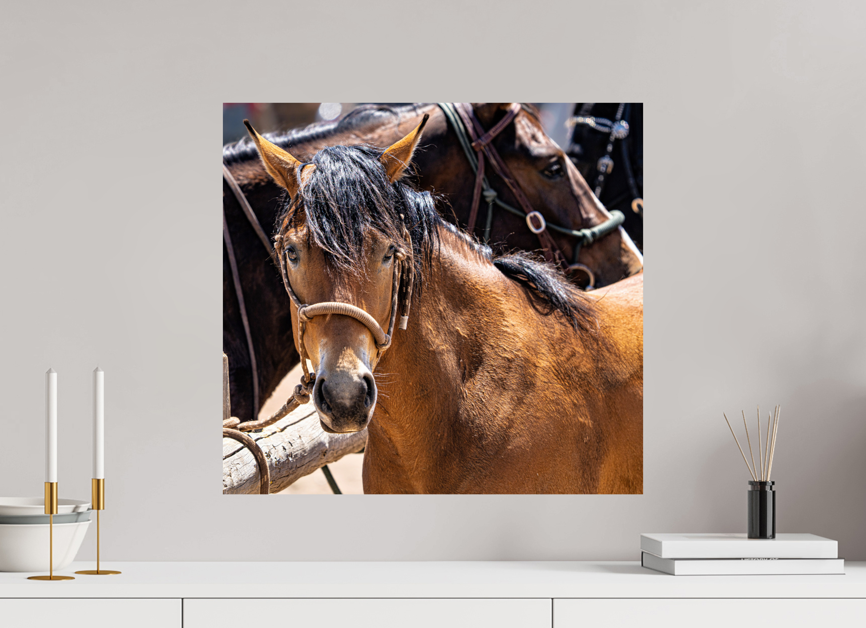 21.5 x 20″, METAL Pack Horse Portrait 6