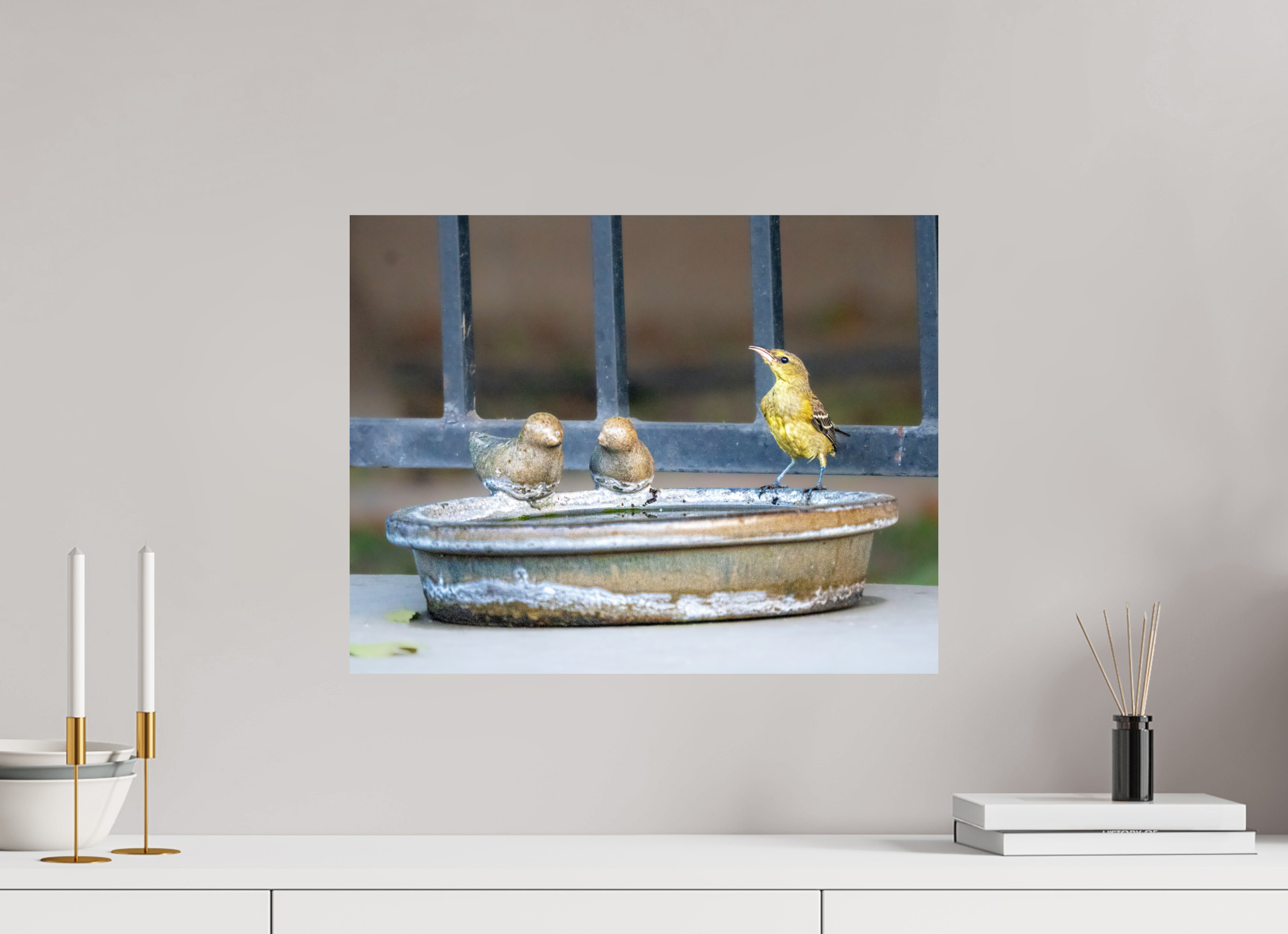 20.5 x 16″, PHOTO PAPER Bird