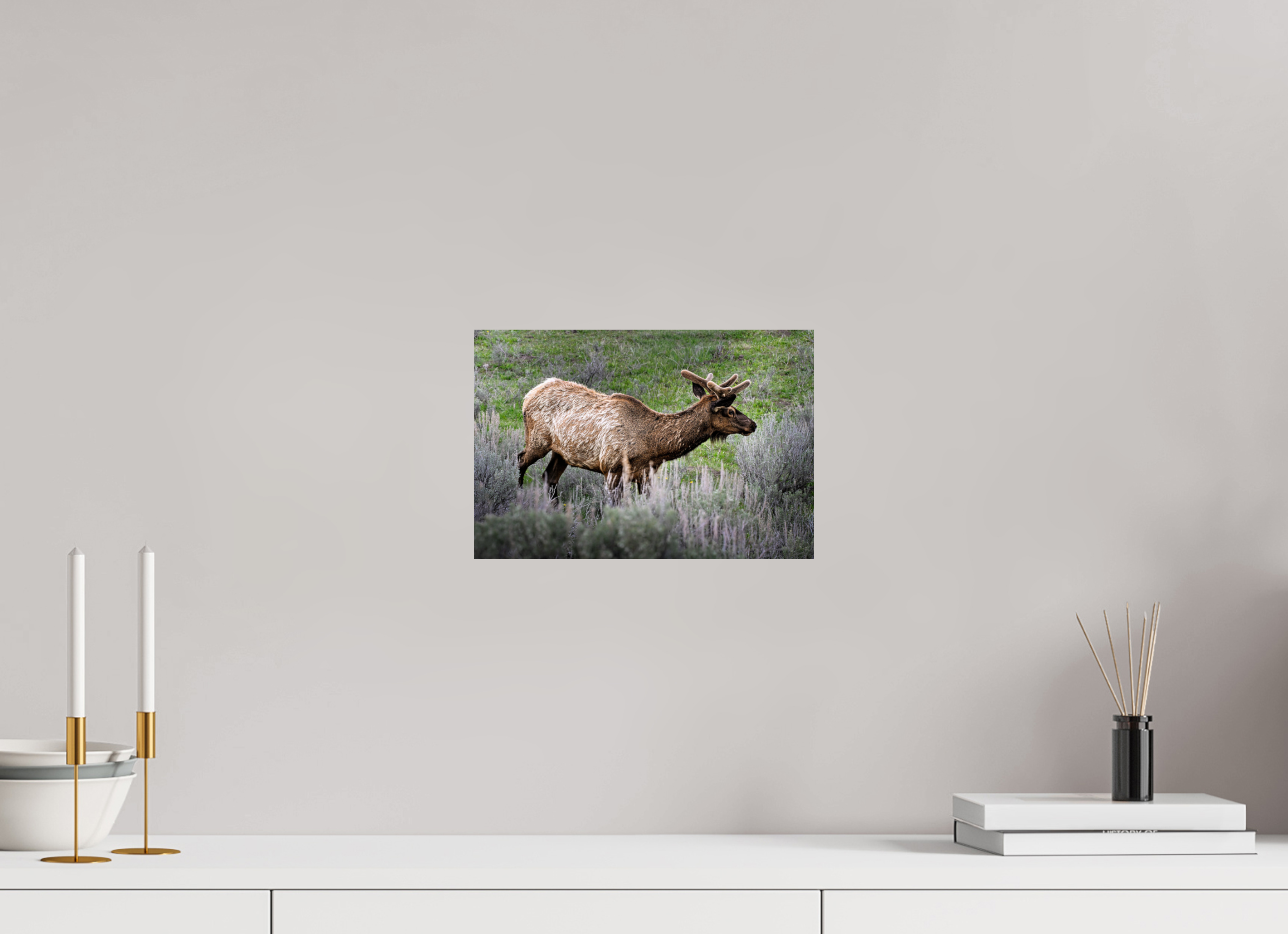 11.9 x 8″, PHOTO PAPER Elk