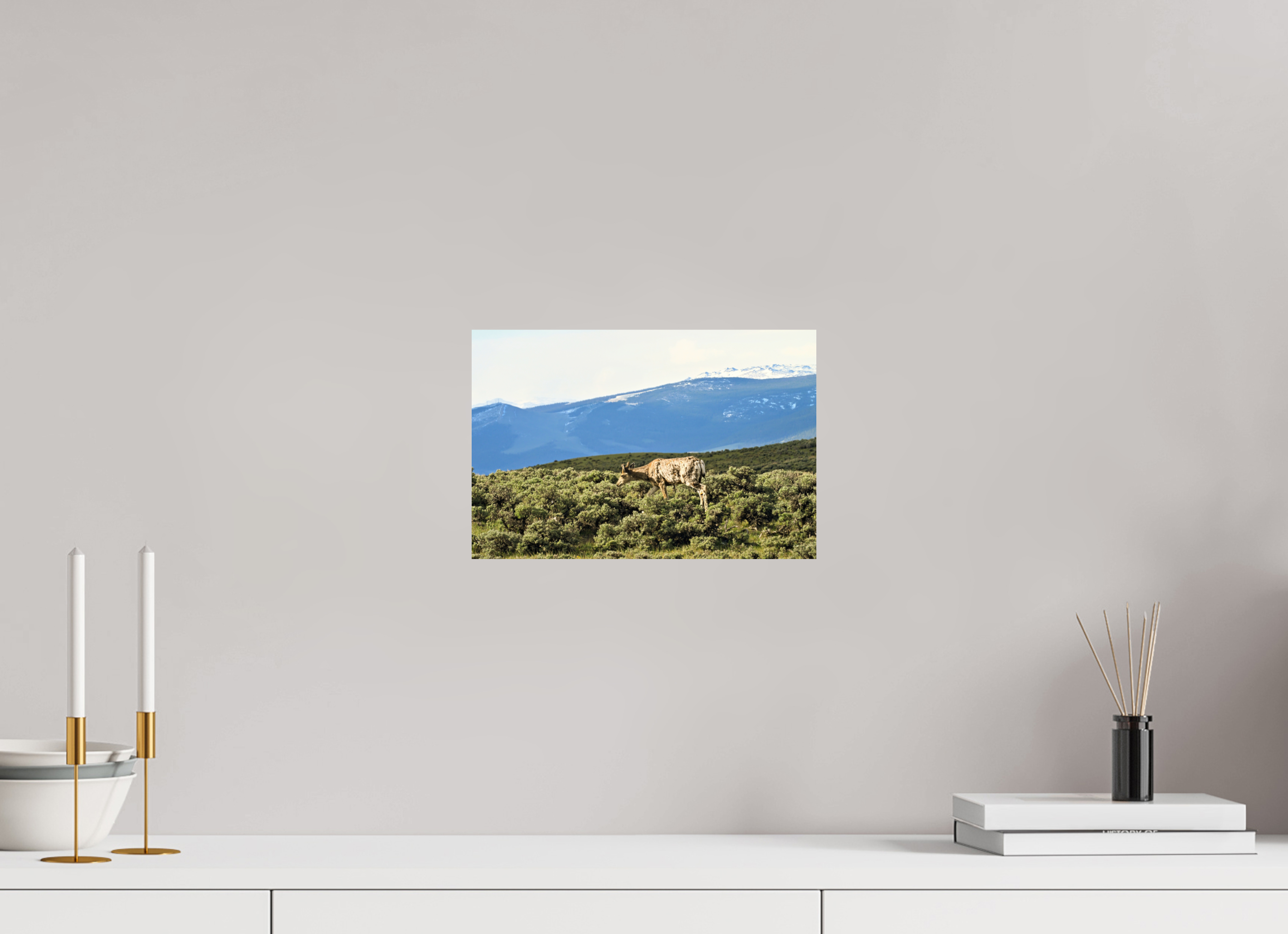 12 x 8″, PHOTO PAPER Deer
