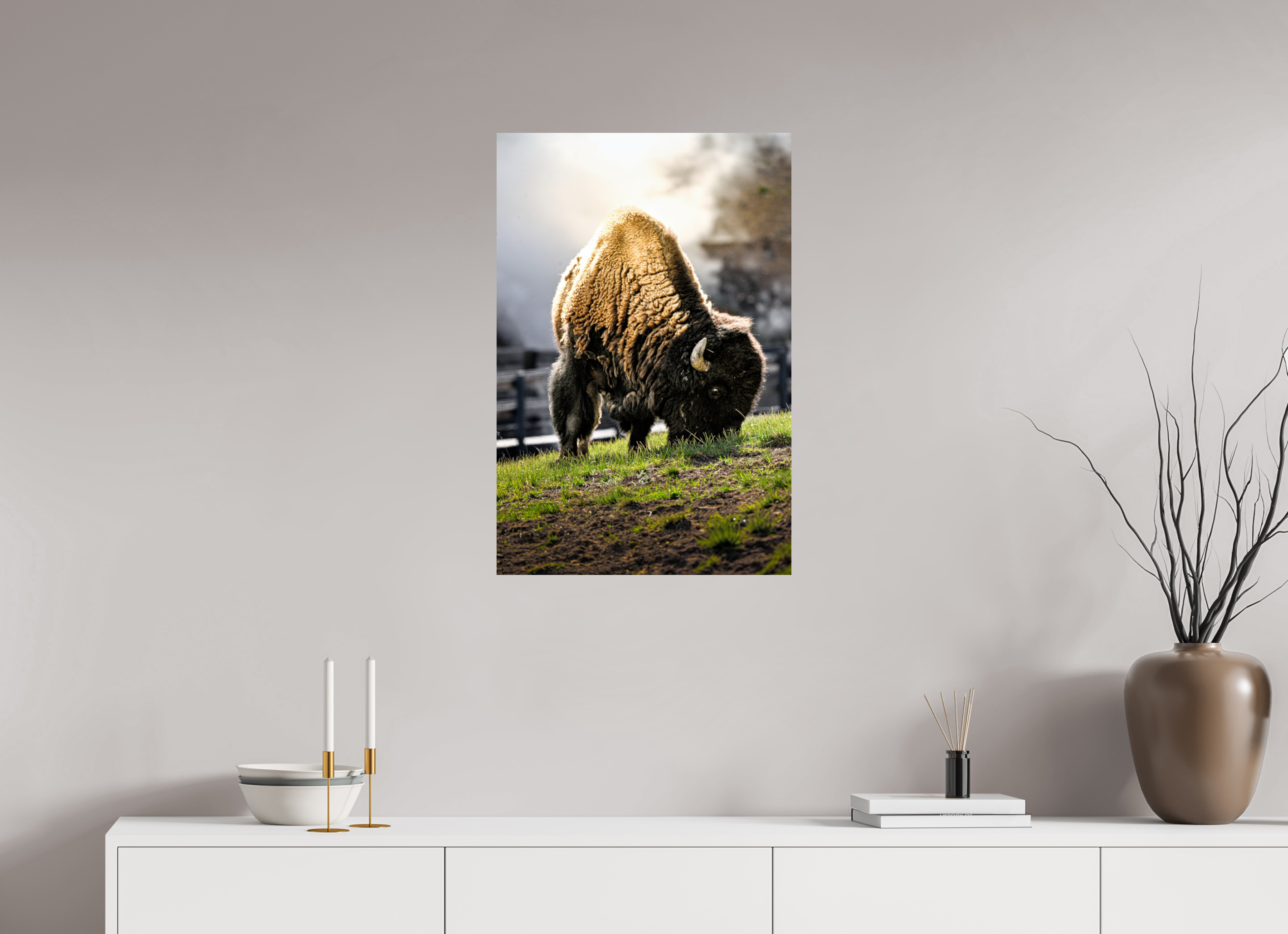 20 x 30″, PHOTO PAPER Bison Grazing