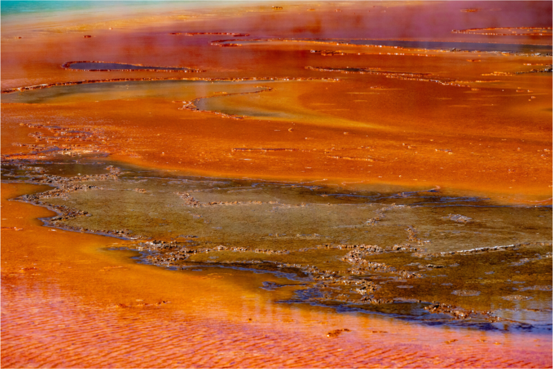 Main image Yellowstone