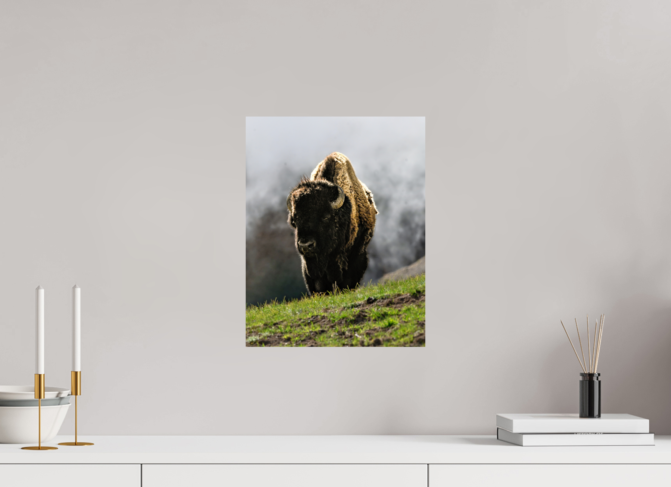 12 x 15.4″, PHOTO PAPER Bison