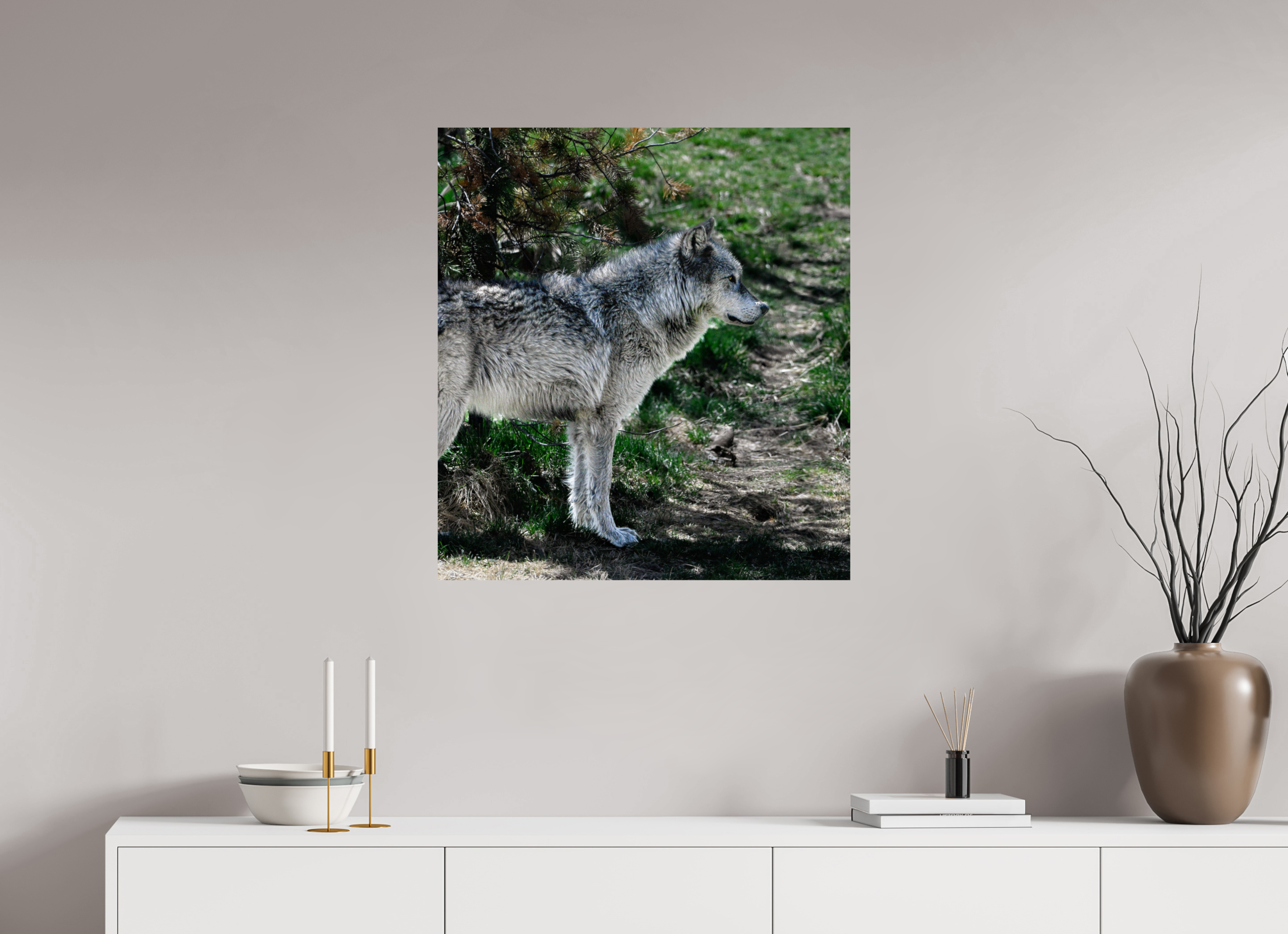 28 x 30.7″, PHOTO PAPER Wolf Standing