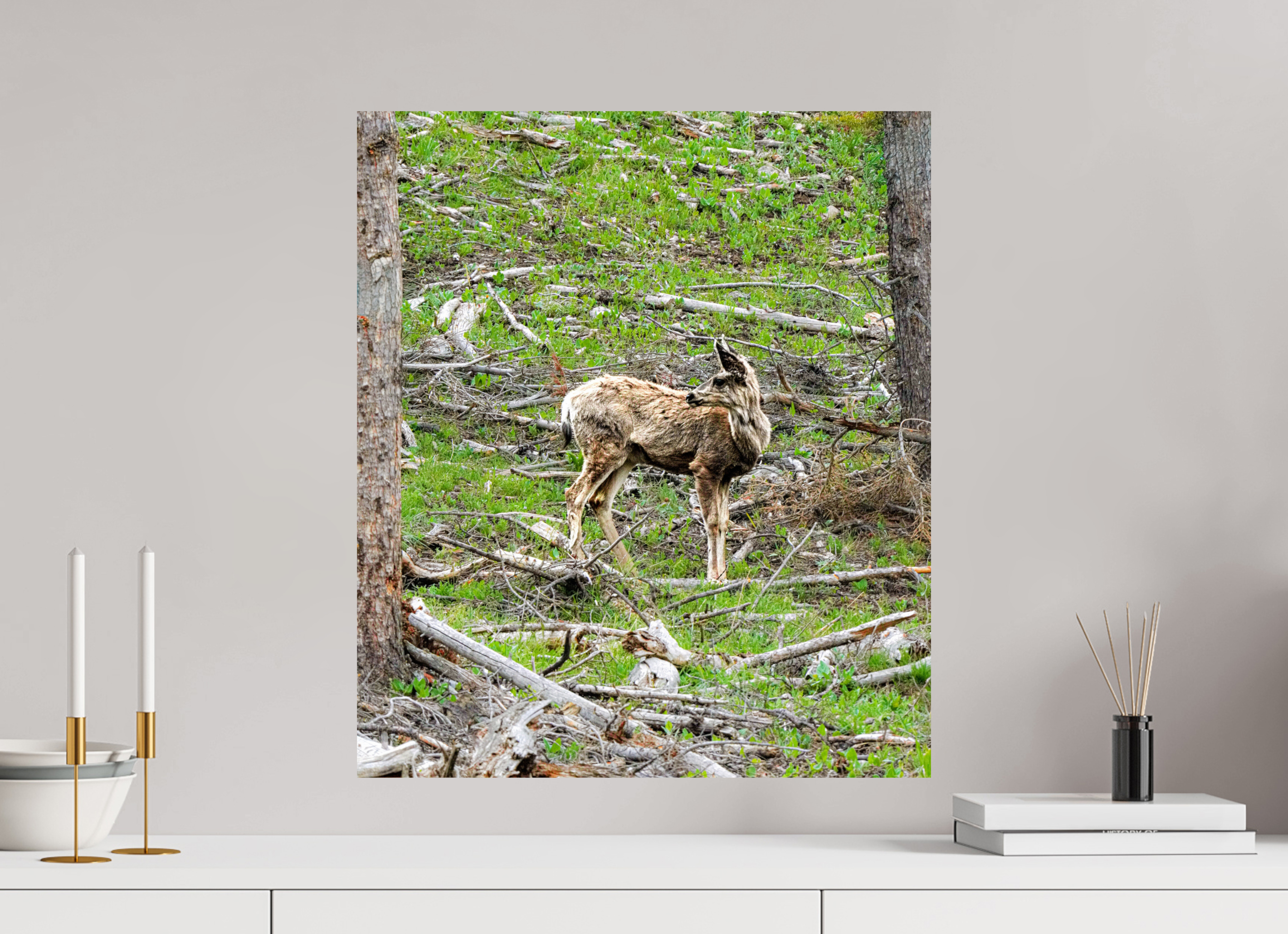 20 x 23.2″, PHOTO PAPER Deer