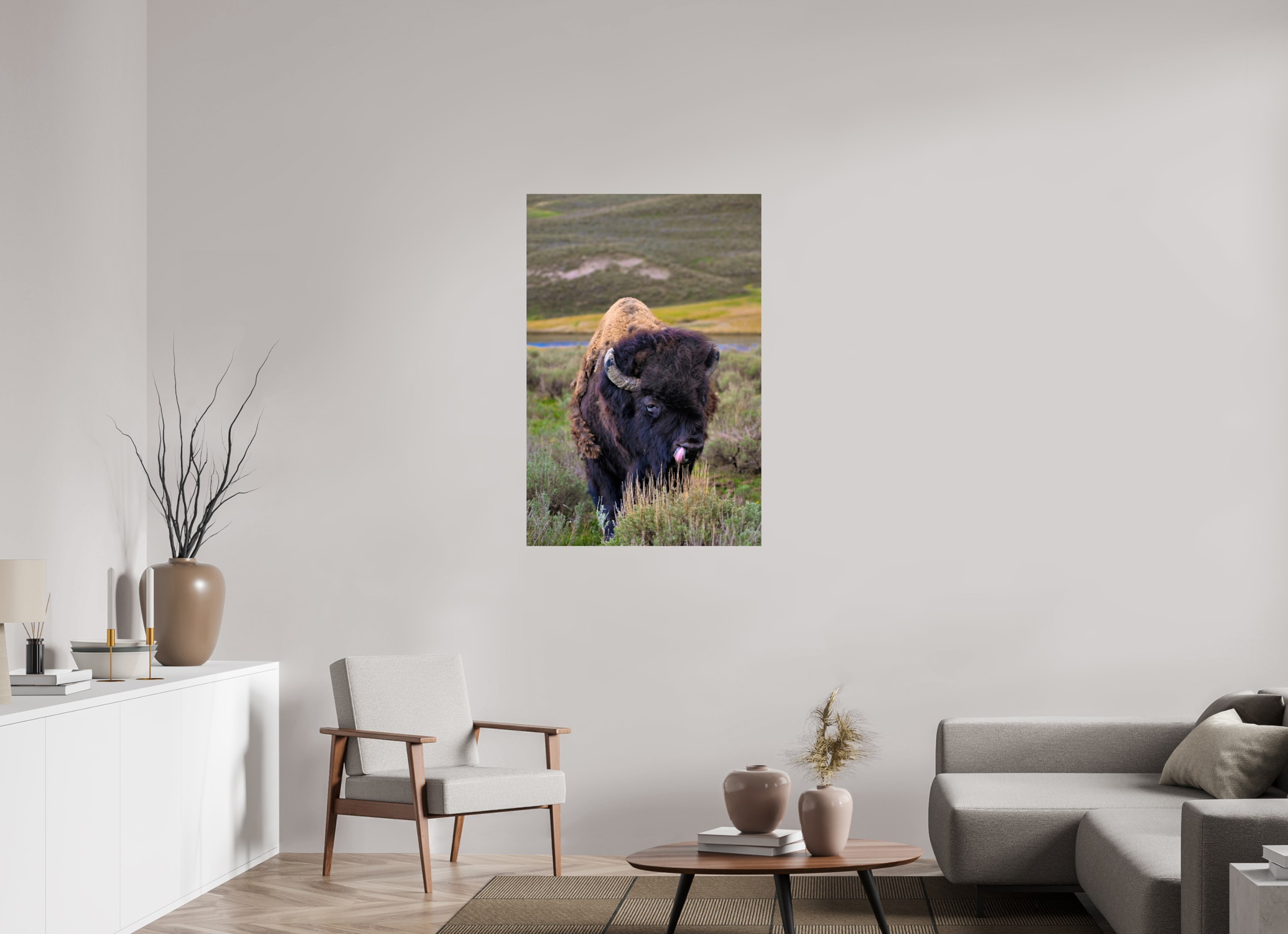 30 x 45″, PHOTO PAPER Bison with Tongue