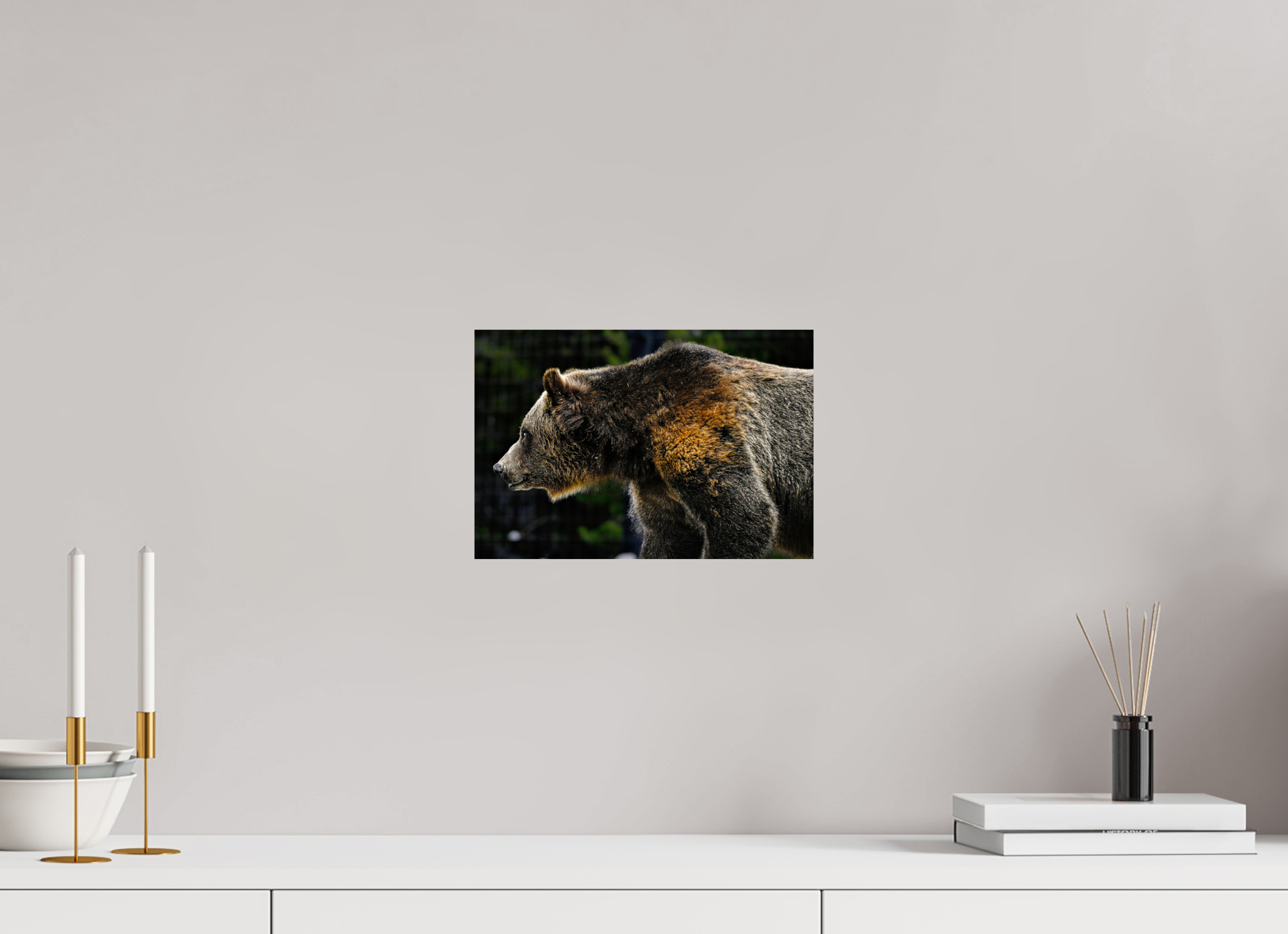 11.8 x 8″, PHOTO PAPER Bear