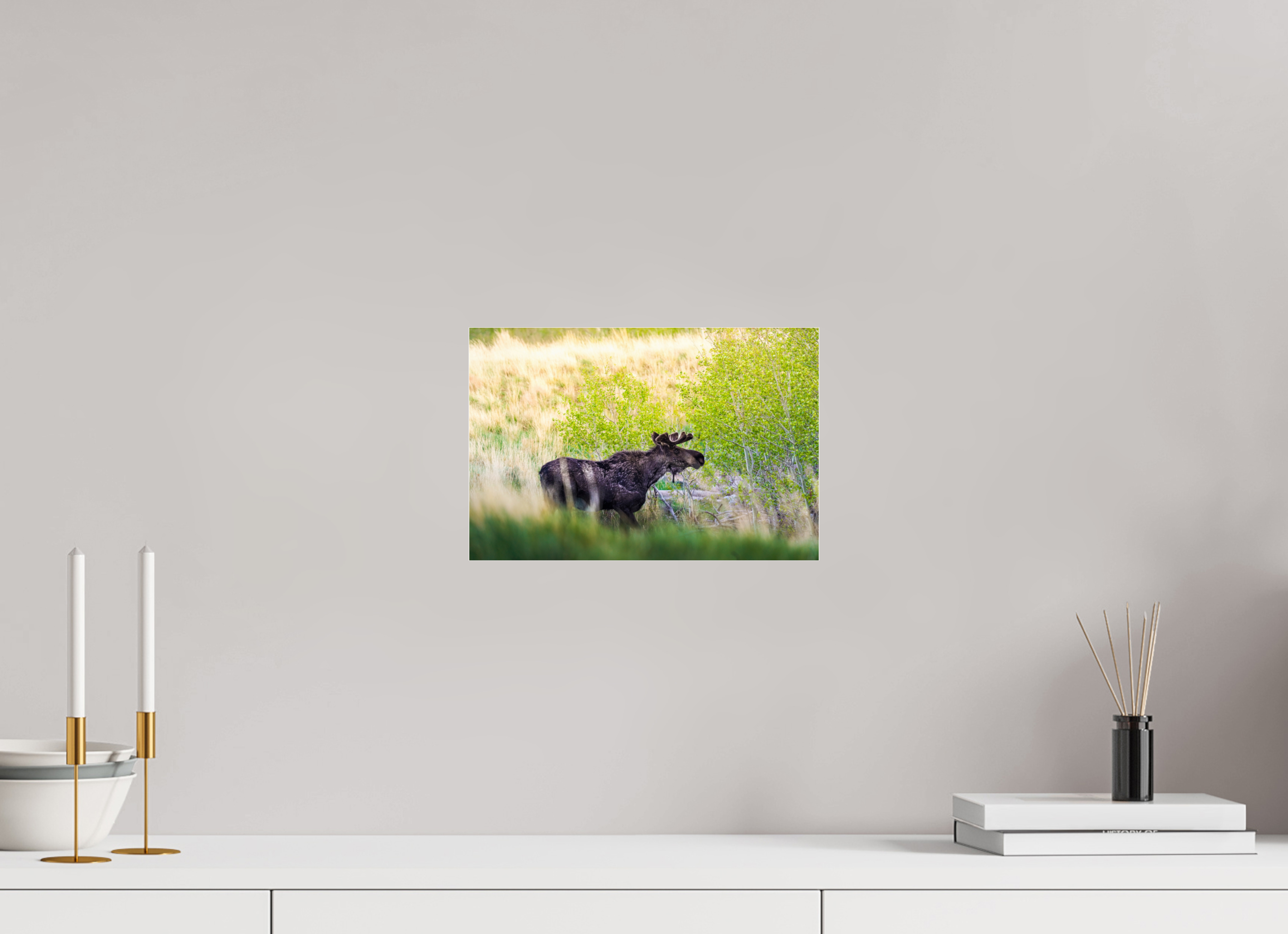 12 x 8″, ACRYLIC “Peek A Boo” Moose